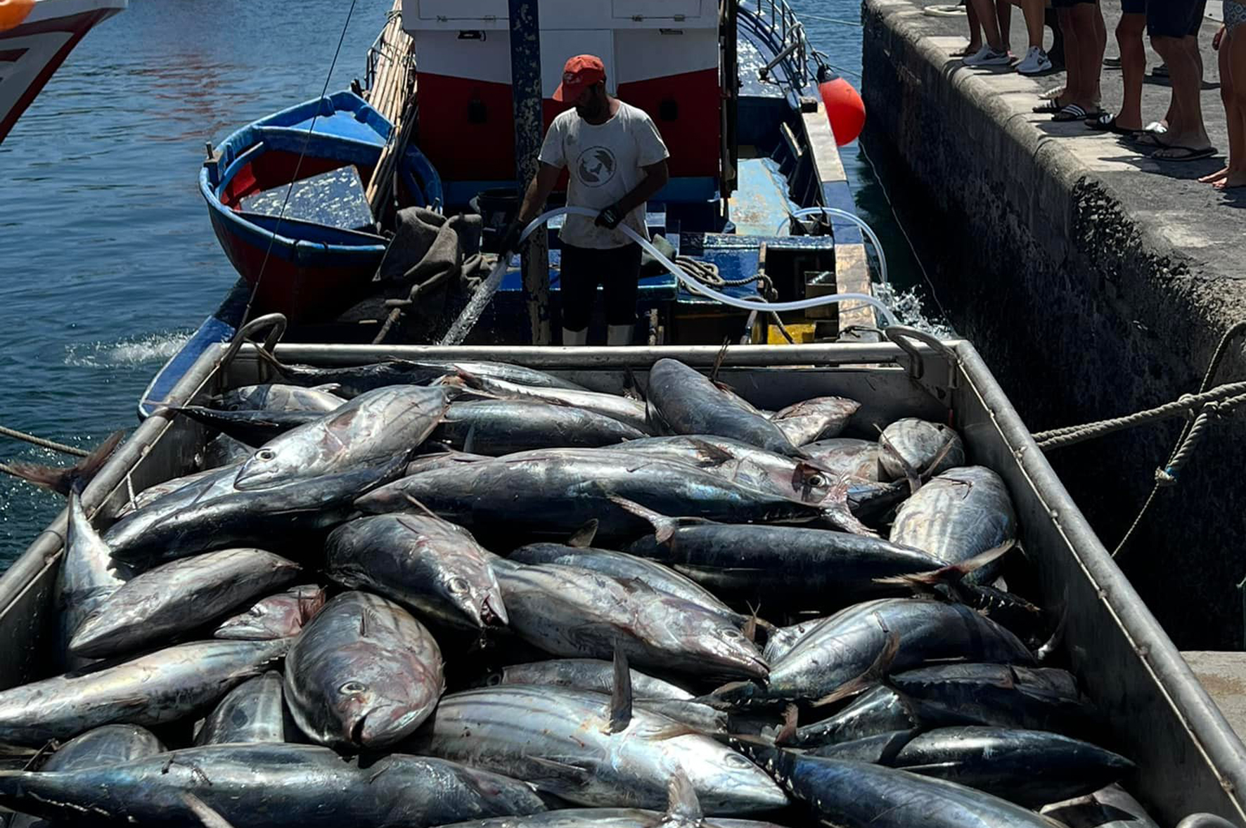 Gutiérrez acusa al Gobierno de España de ignorar a la pesca artesanal que  continua sufriendo la desidia y abandono del Estado