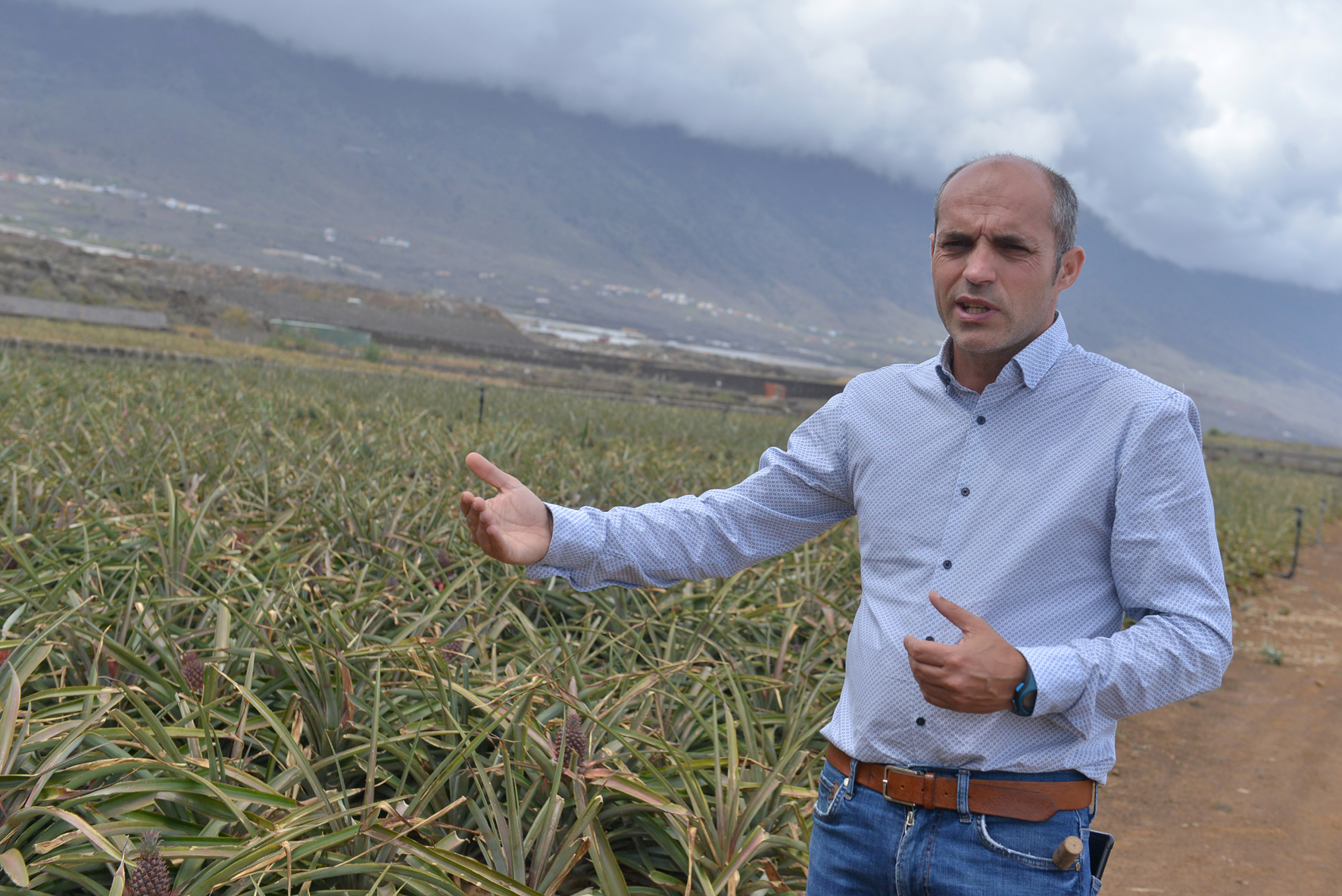David Cabrera: “a medio y largo plazo el objetivo debe ser la soberanía alimentaria insular”