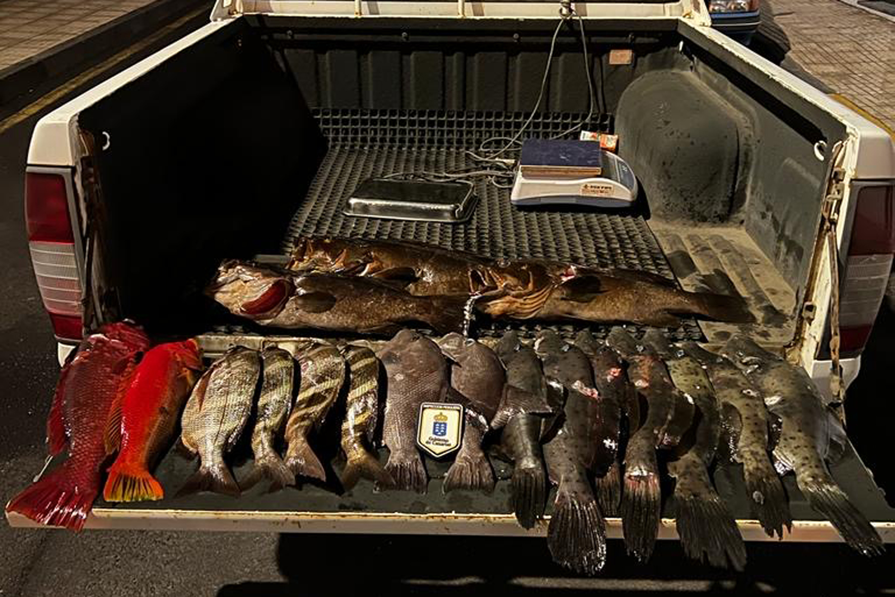 Inspección Pesquera incauta 29 kilos de pescado ilegal en El Hierro