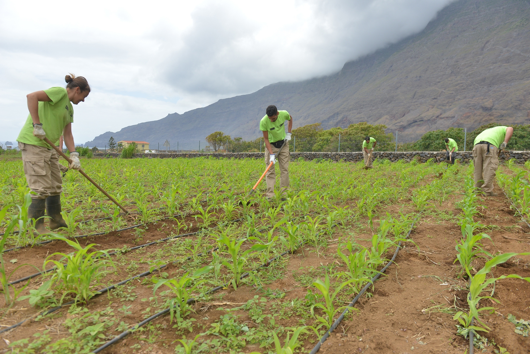 El Cabildo incentiva el emprendimiento en el sector primario con “PFAE Agroganadería El Hierro 2022”