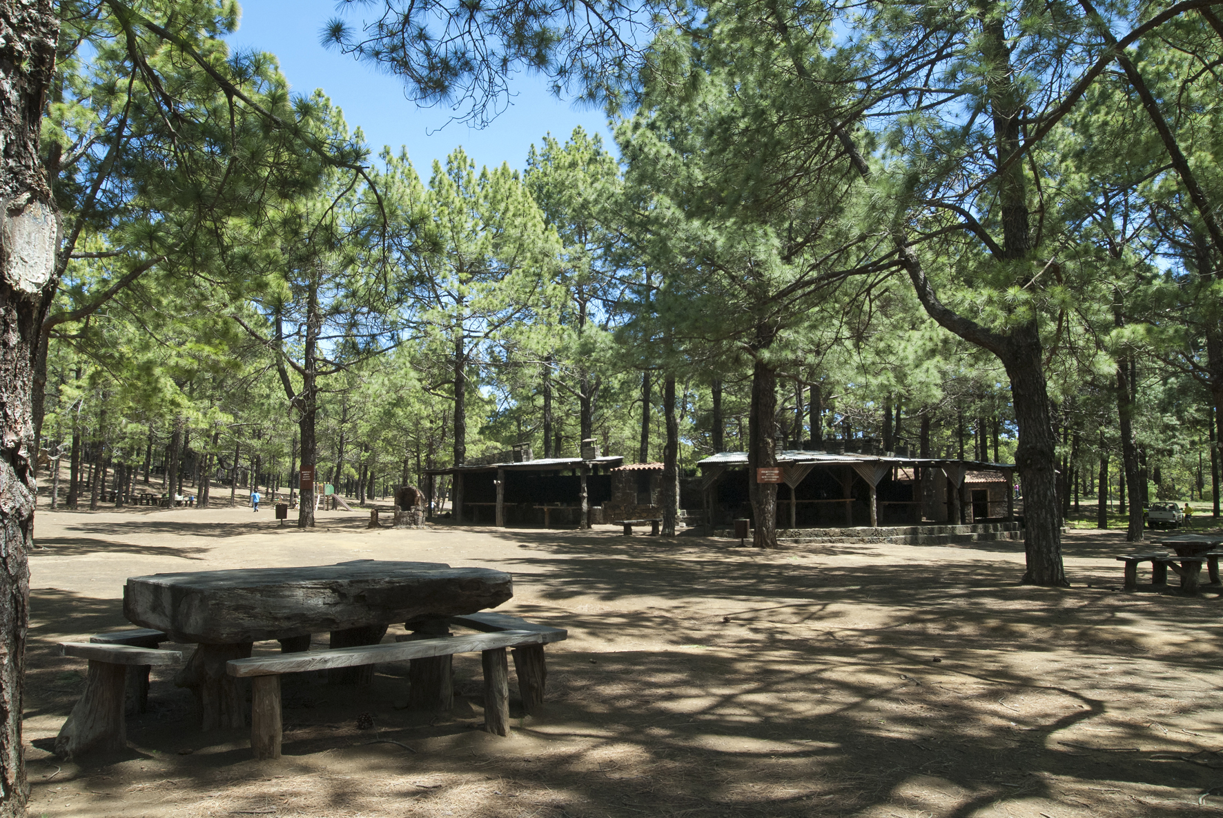 El Cabildo reabre la zona de acampada y áreas recreativas de las Hoya de El Morcillo y Hoya de El Pino a partir de mañana
