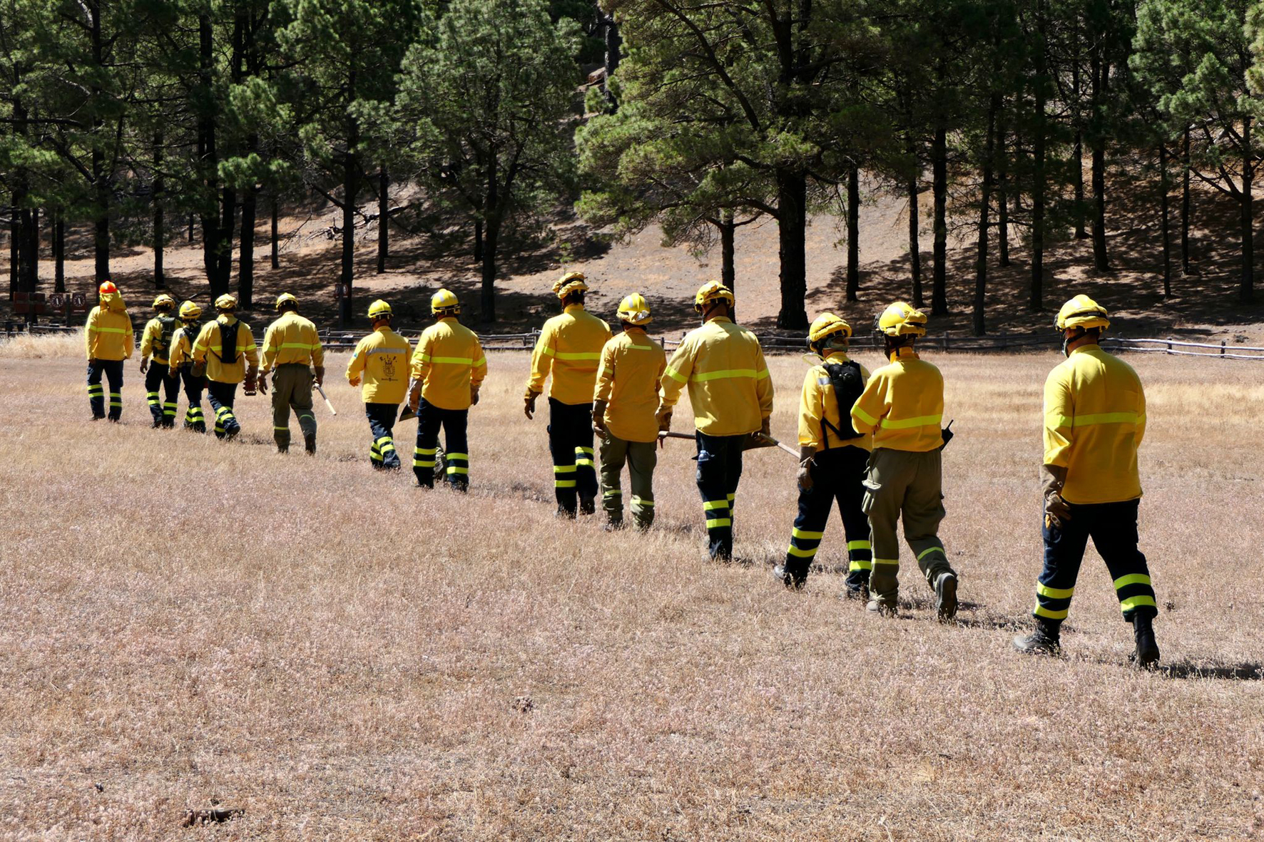 Más de 150 efectivos conforman el dispositivo contra incendios forestales 2021 en El Hierro