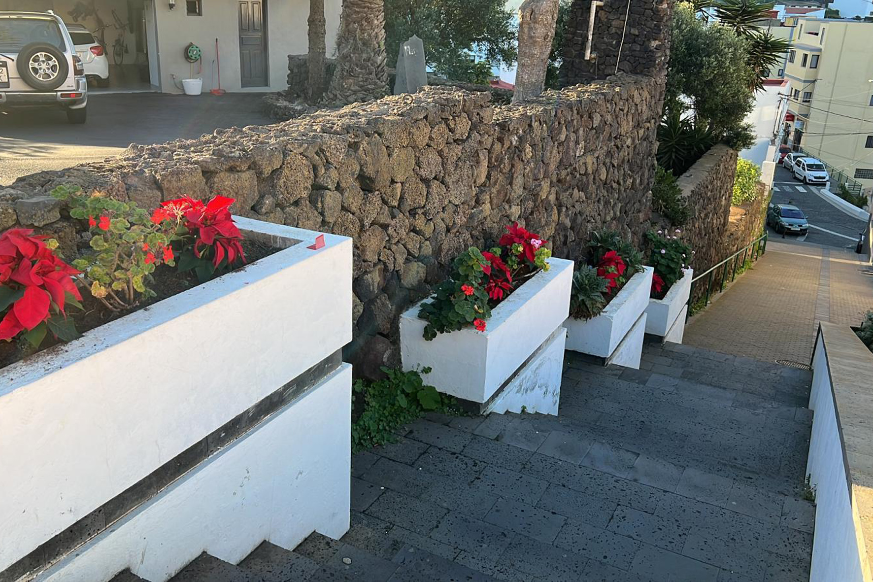 El Ayuntamiento de Valverde denuncia el robo de flores de pascua distribuidas en distintos puntos del municipio como parte de su decoración de Navidad