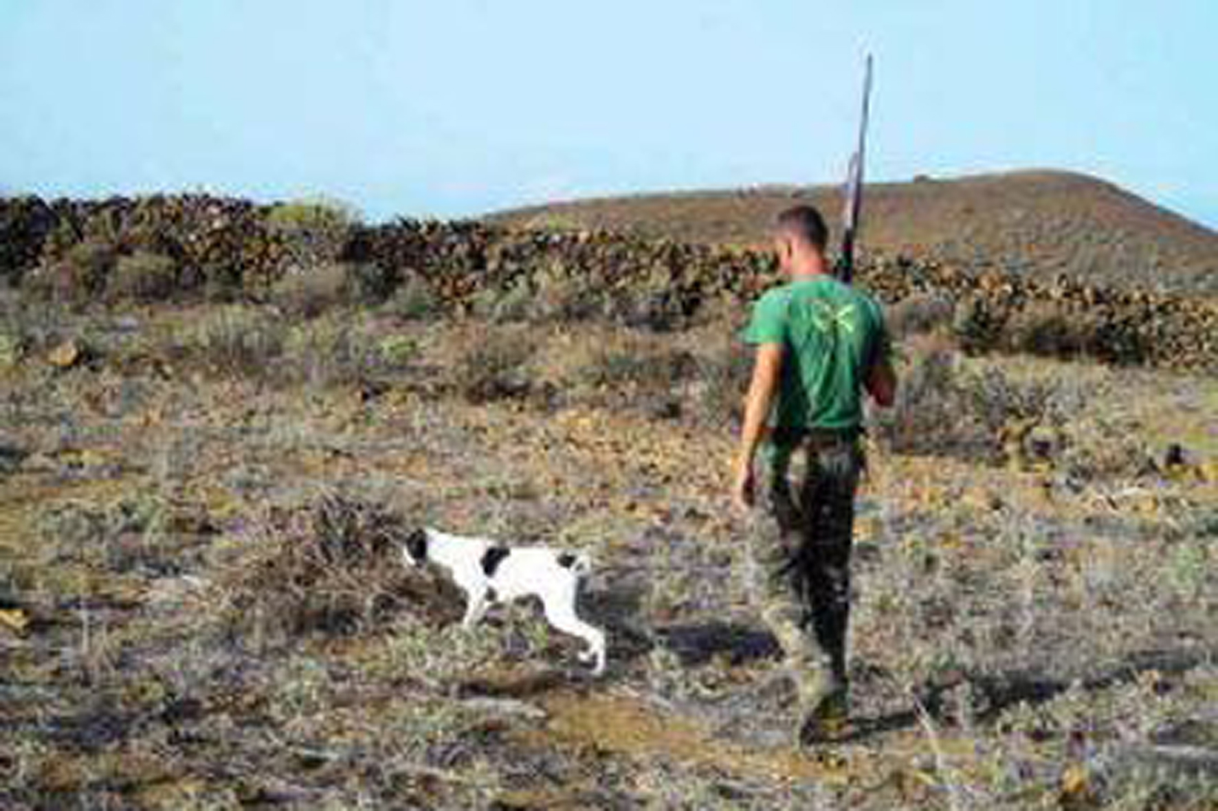 Se modifica el cierre de la temporada de caza con escopeta y caza del conejo con perro y hurón