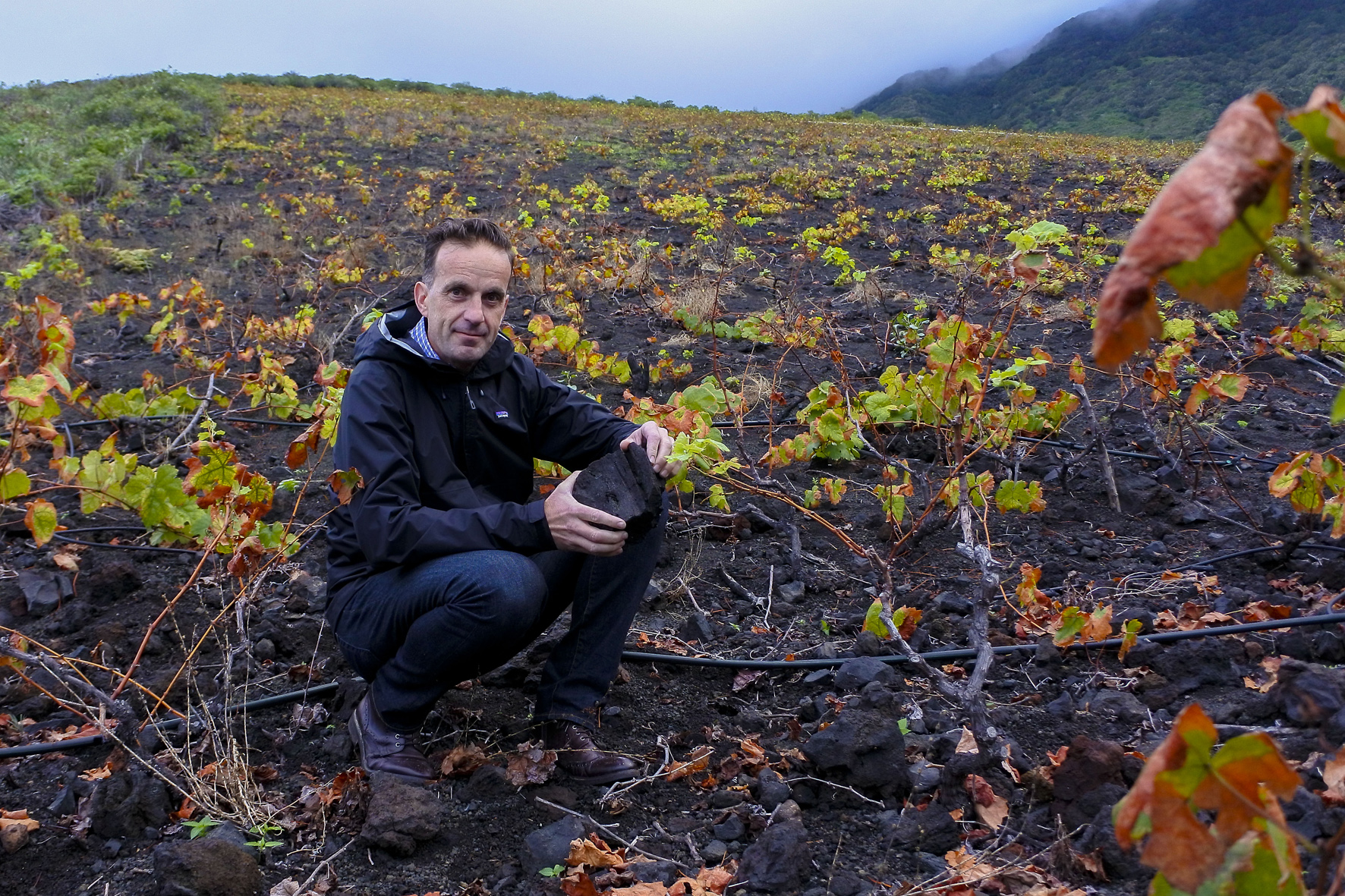 El ‘Master of Wine’ David Forer destaca la identidad única de los vinos de El Hierro