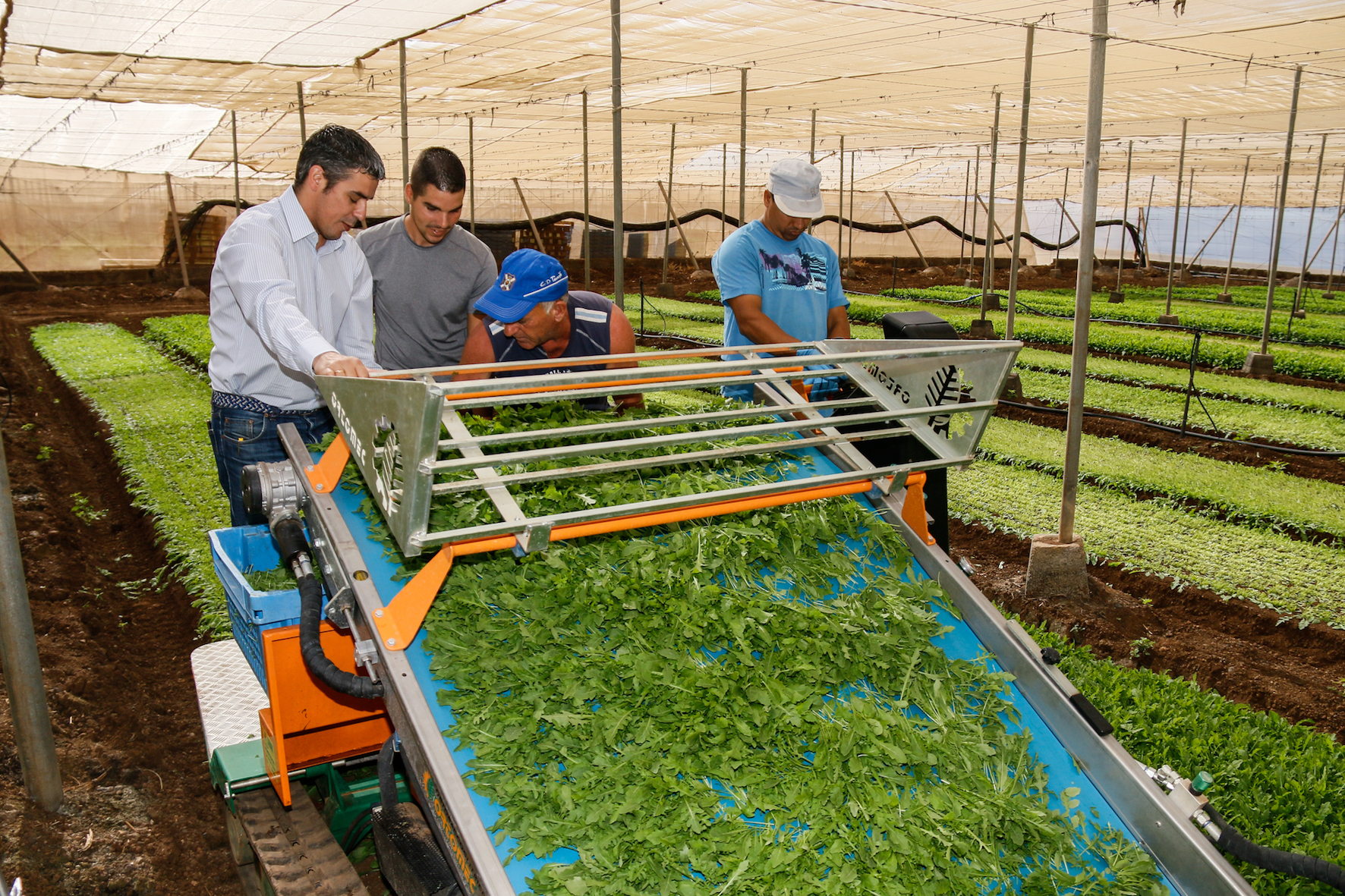 El Gobierno de Canarias suma 54 millones de euros para modernización de explotaciones agrarias con una nueva convocatoria de ayudas