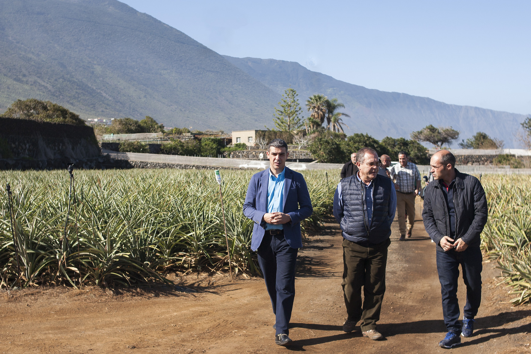 El Programa de Desarrollo Rural de Canarias destina 1,3 millones al sector agrario de El Hierro