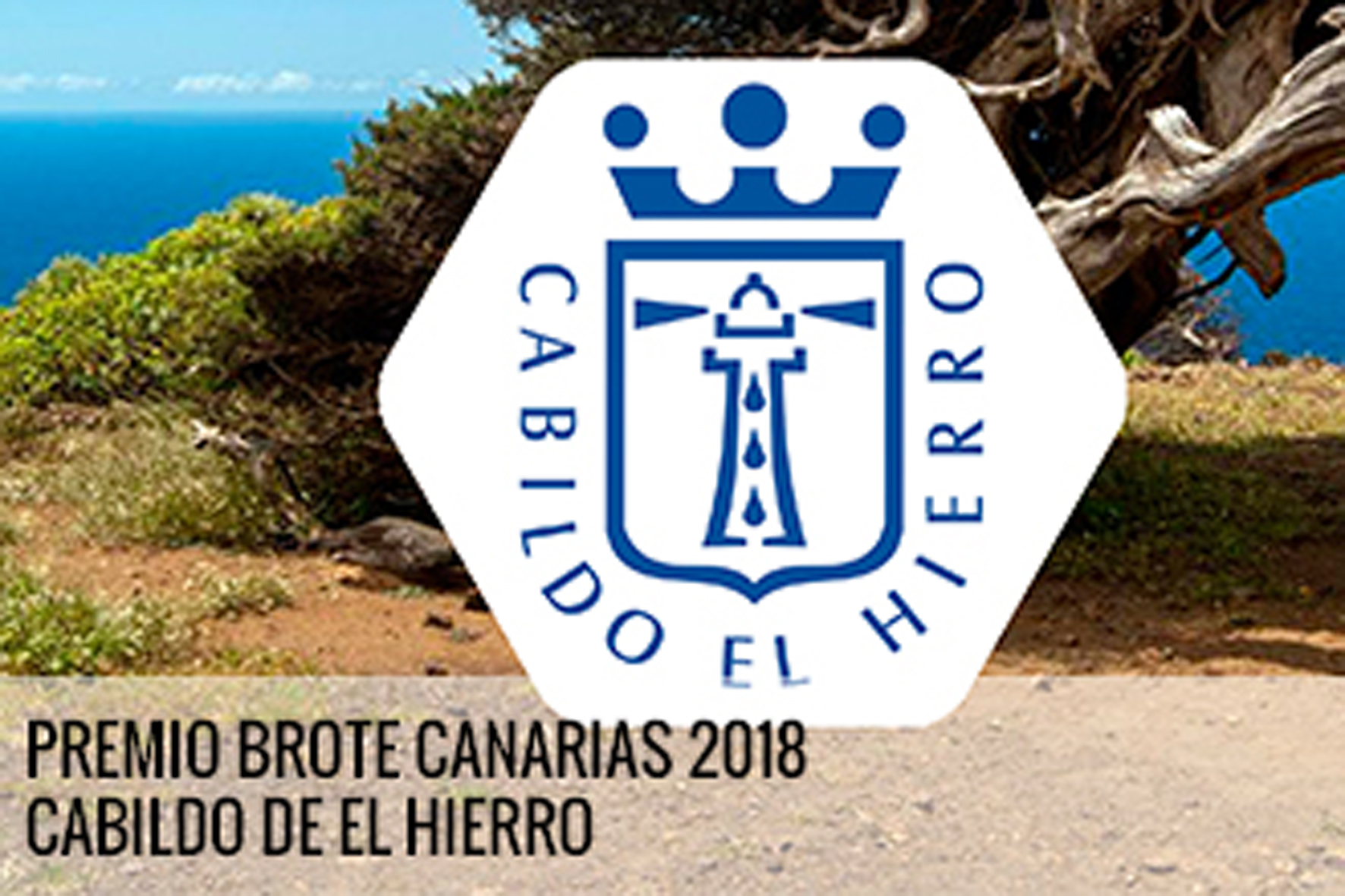 El Cabildo de El Hierro recibe el premio Brote 2018 de la FICMEC