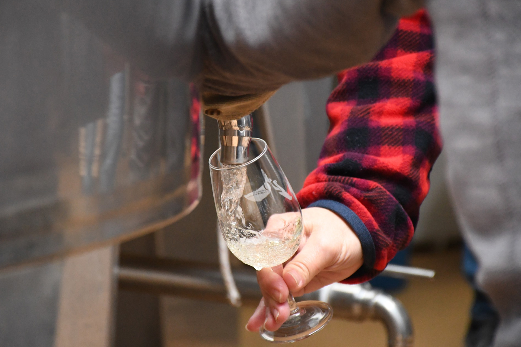 Seis bodegas de El Hierro recibirán un total de 50.104 euros en ayudas directas para compensar las pérdidas por la pandemia