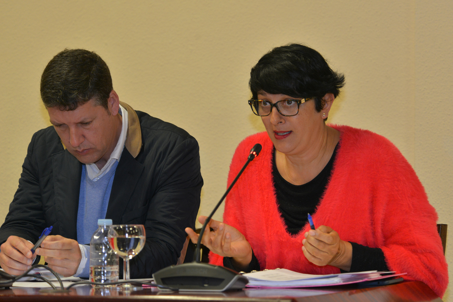El Pleno del Cabildo aprueba una moción del PP para que el nuevo Colegio de Infantil y Primaria de Valverde se construya en la Hoya del Juez