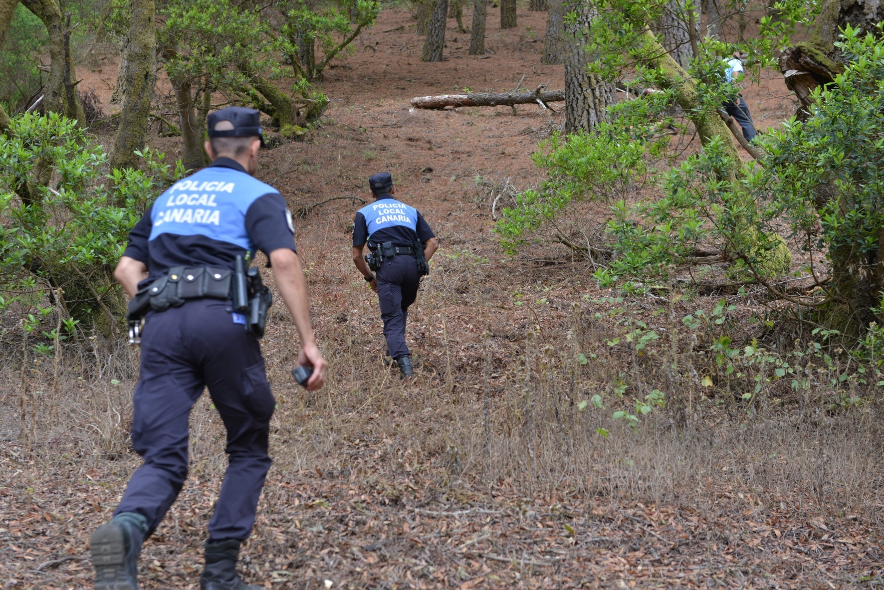 Policías locales de El Hierro reciben formación sobre delitos contra la seguridad vial