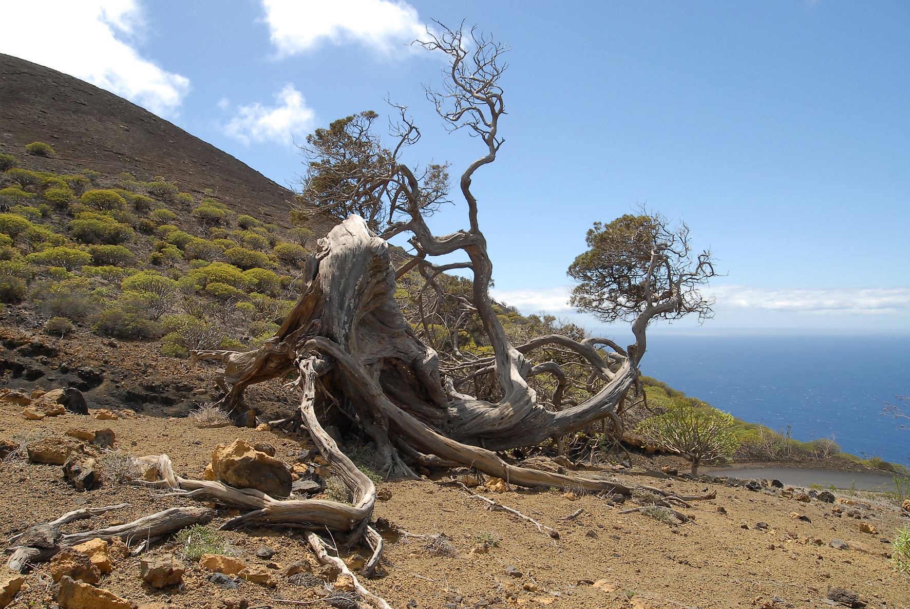 El Geoparque El Hierro se une actividades de la Semana de los Geoparques Europeos