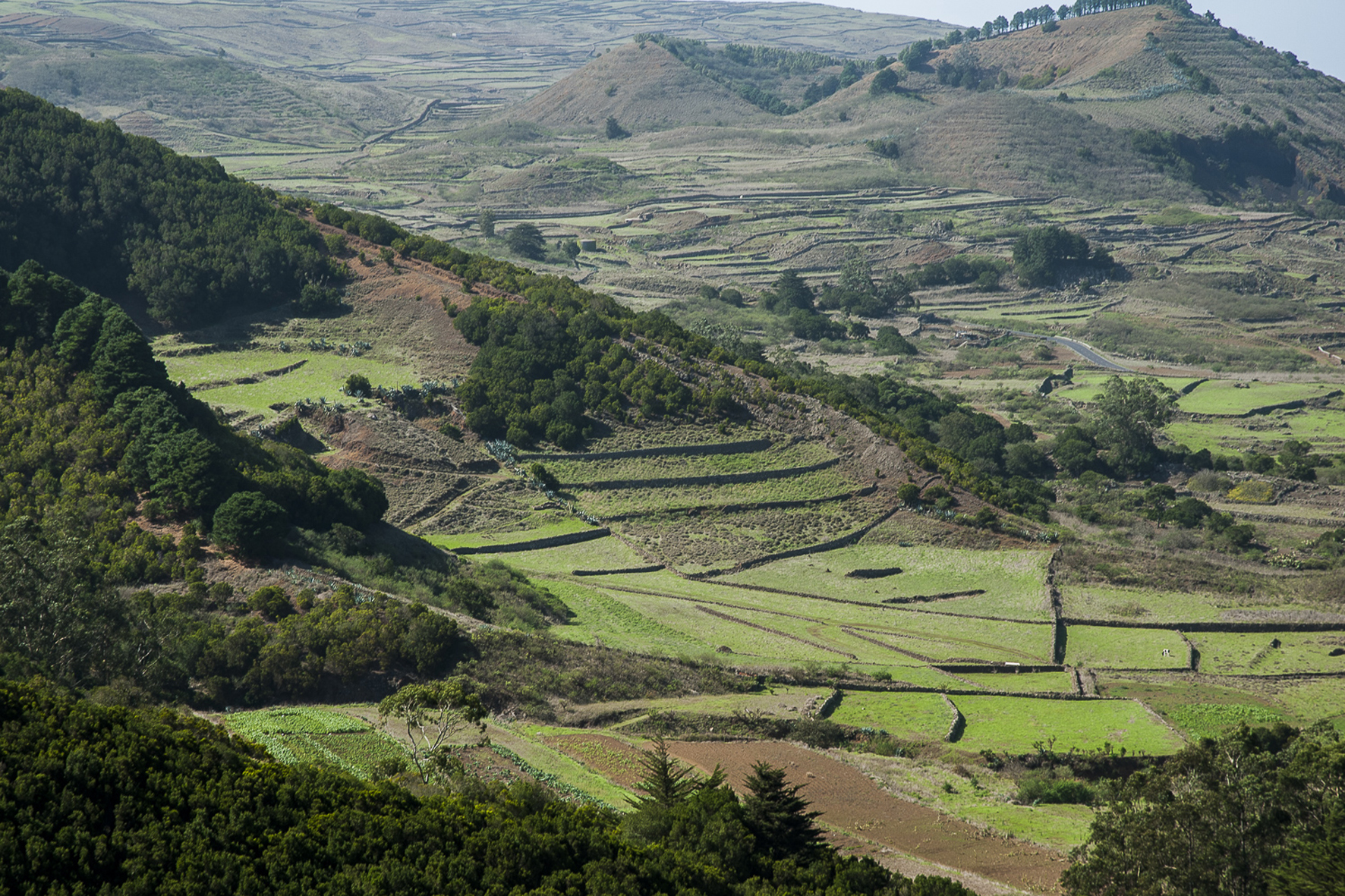 El Gobierno extiende el “Proyecto ojeadores” puesto en marcha inicialmente El Hierro, a las islas de Fuerteventura, Lanzarote, La Palma y La Gomera
