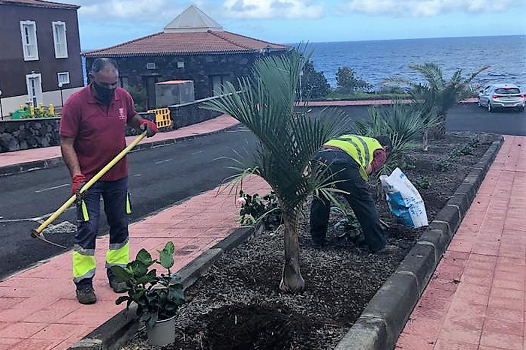 La Frontera embellece zonas ajardinadas del municipio
