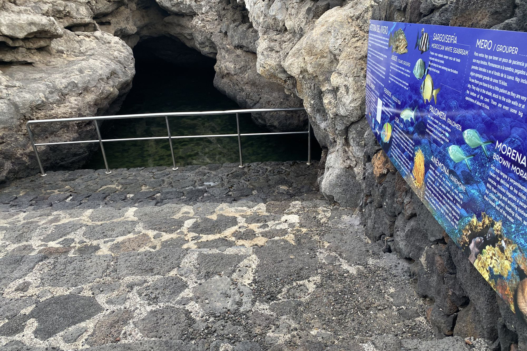 El Ayuntamiento renueva la señalética del “Vivero de La Restinga”