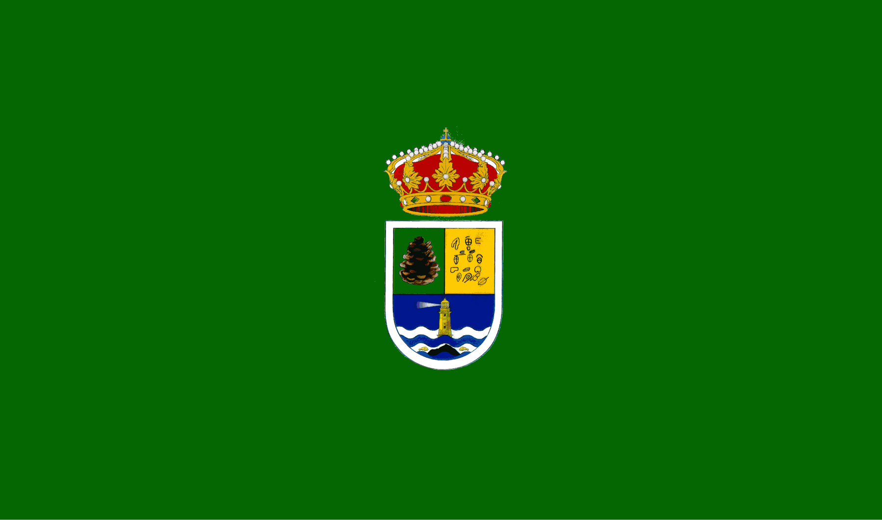 El Pinar ya tiene bandera y escudo