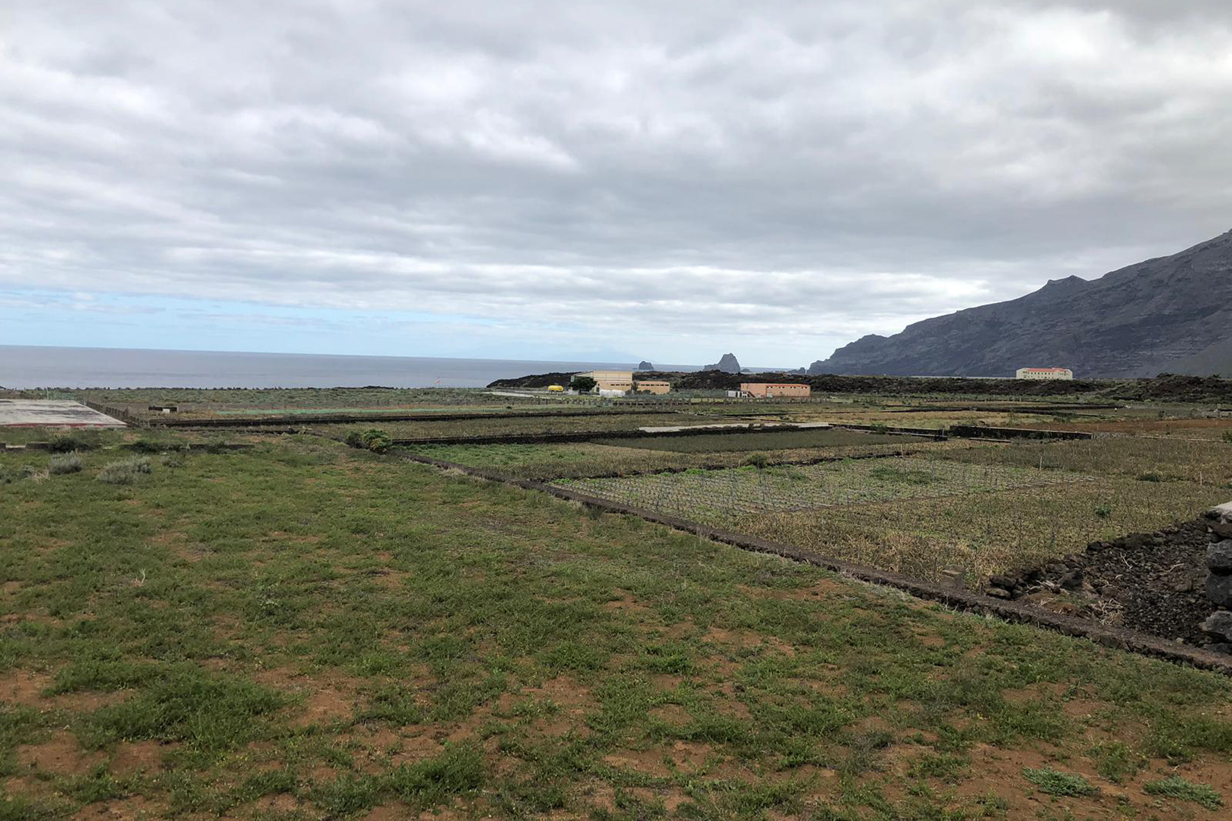 El Cabildo abre plazo para presentar solicitudes para arrendamiento de parcelas e instalaciones agrícolas y ganaderas