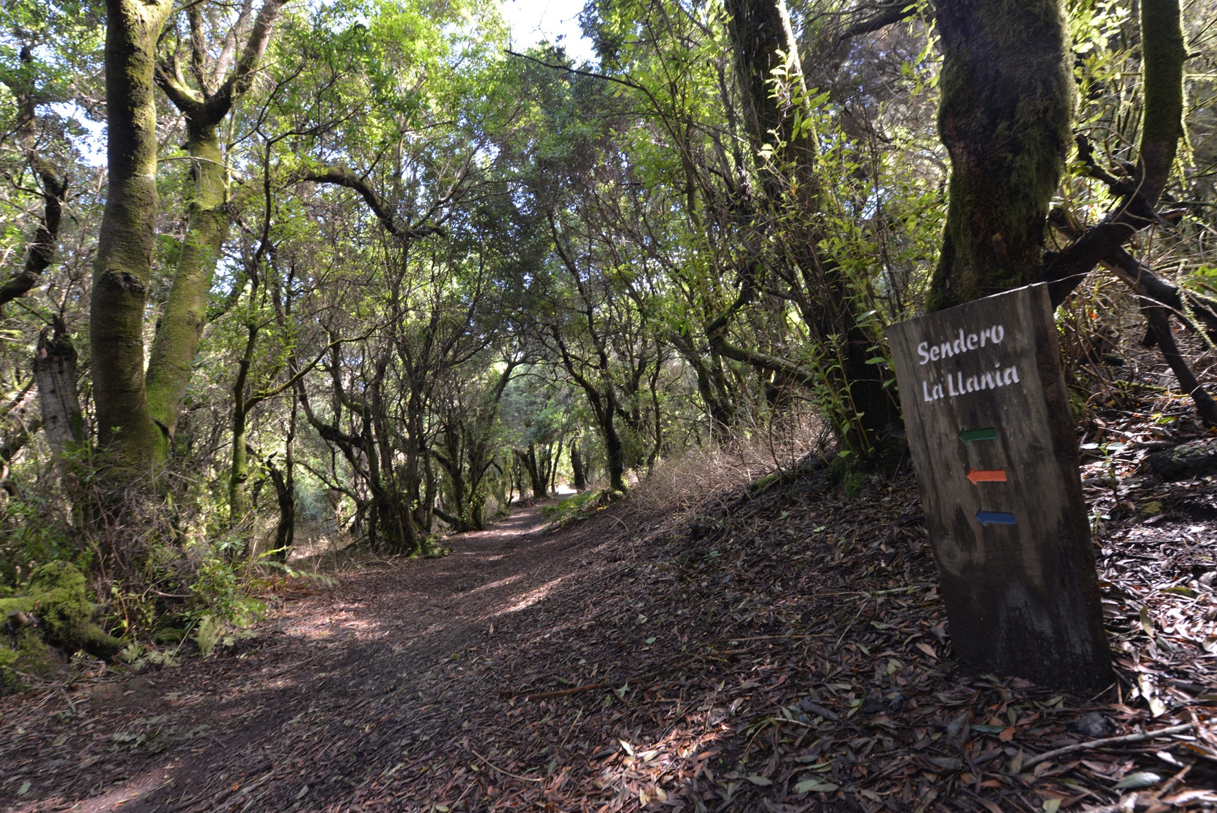 La serie “Hierro” traslada el próximo viernes su rodaje al sendero de La Llanía