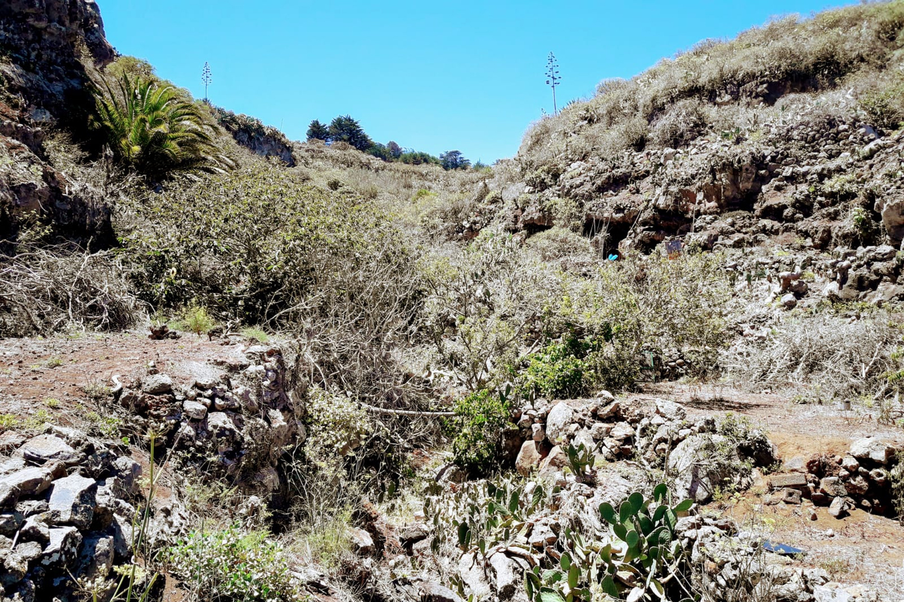 En el camino de la historia: En  Valverde, el barranco del Consejo