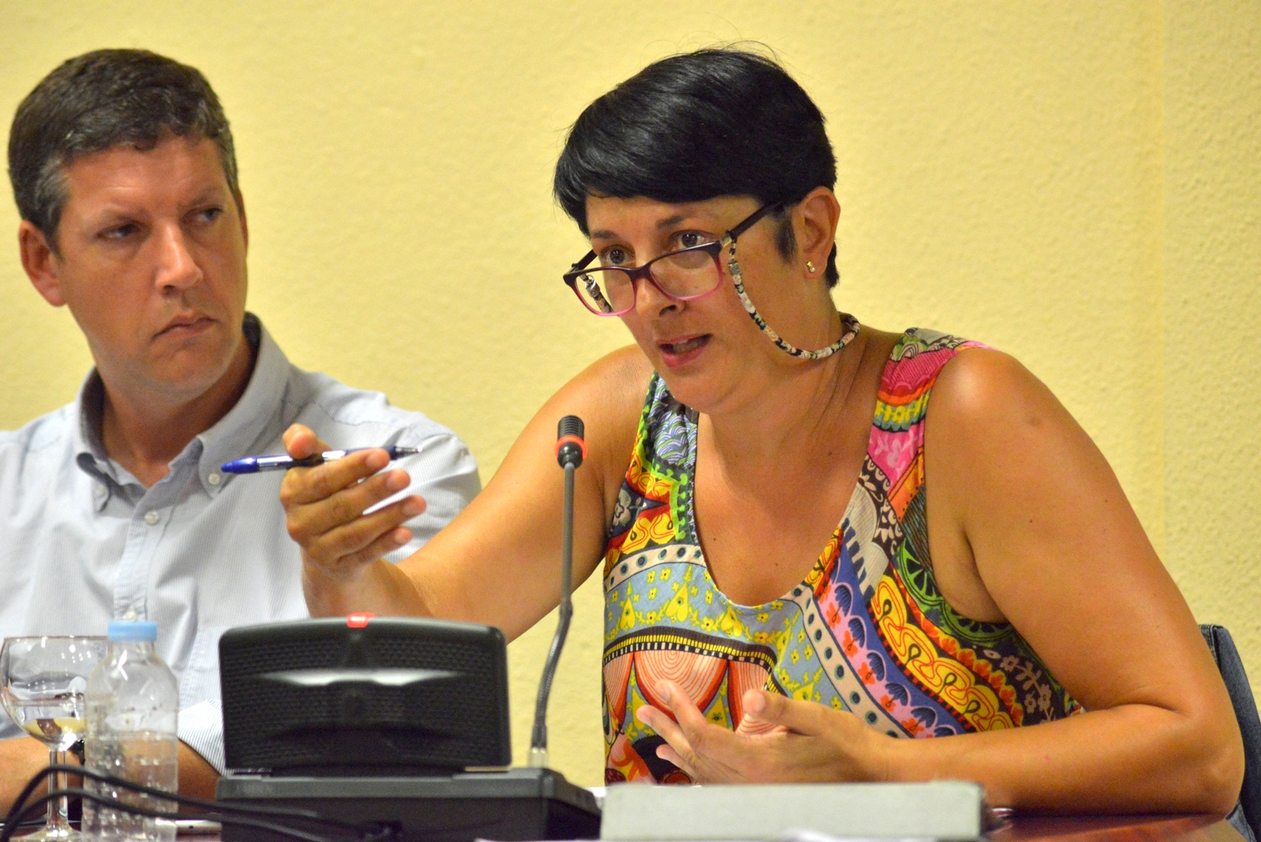 El Partido Popular manifiesta en el Pleno del Cabildo  su preocupación por asuntos de interés para la Isla