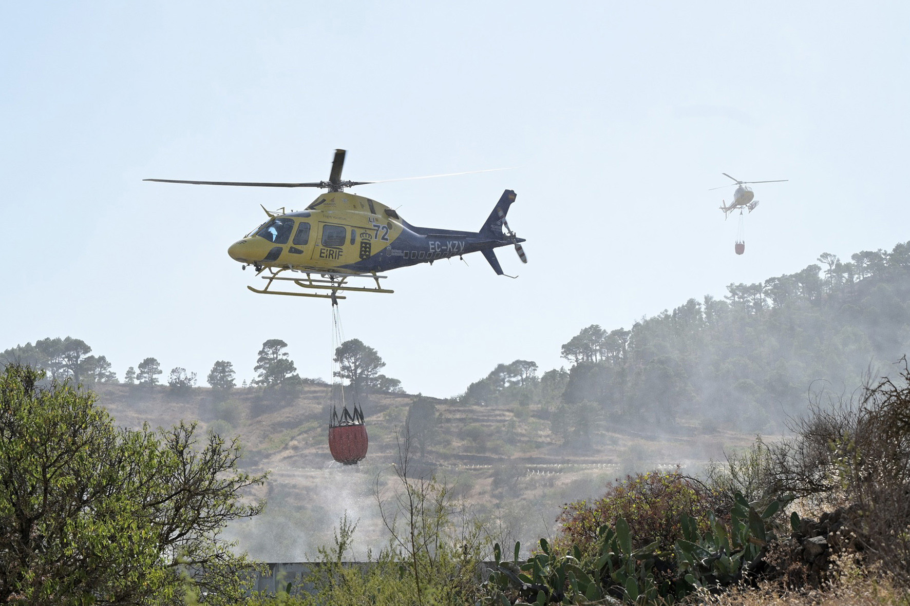 Medios aéreos continúan las labores de refresco en la zona de Las Asomadas, afectada ayer por un incendio