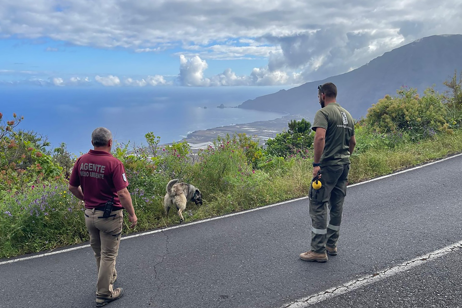 La Unidad Canina Antiveneno de Fuerteventura trabaja en la búsqueda de cebos envenenados en zonas de medianías de La Frontera