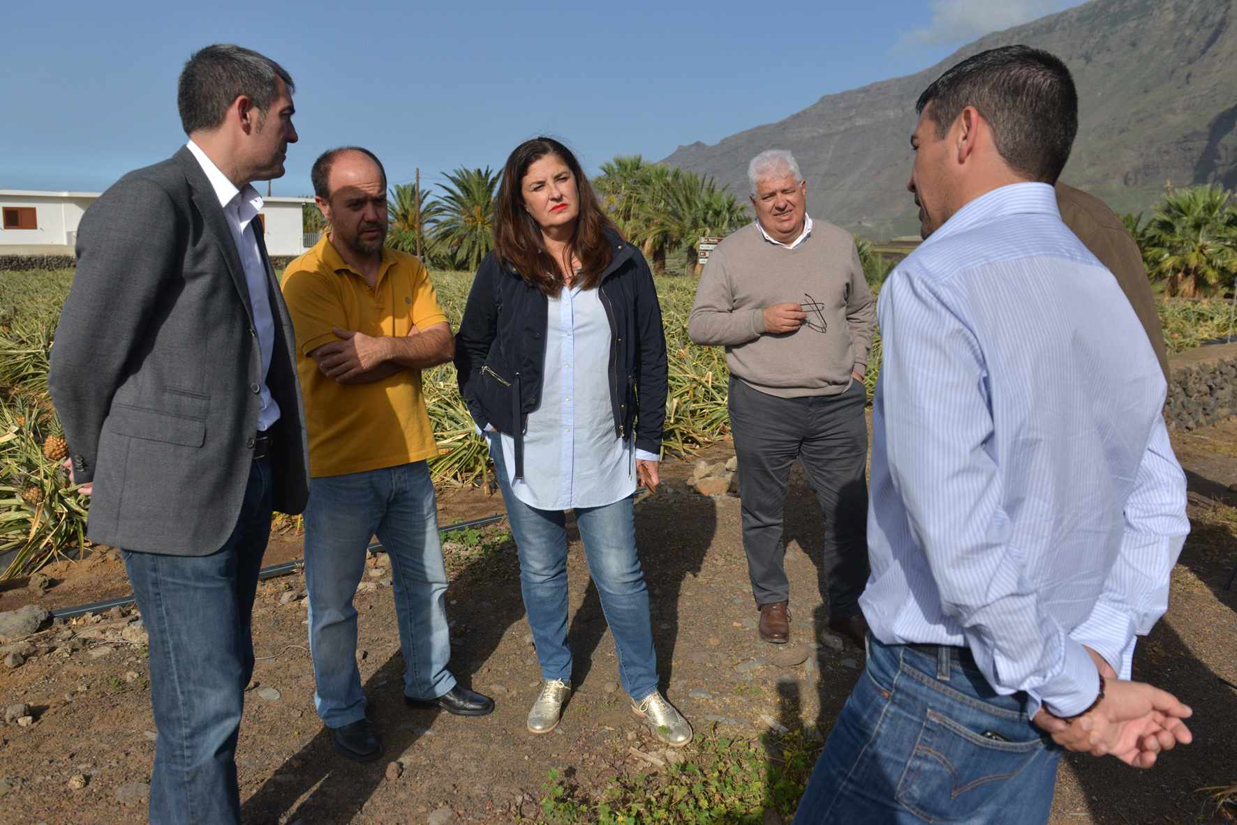 El Gobierno de Canarias articula medidas para paliar los daños ocasionados por el viento en El Hierro