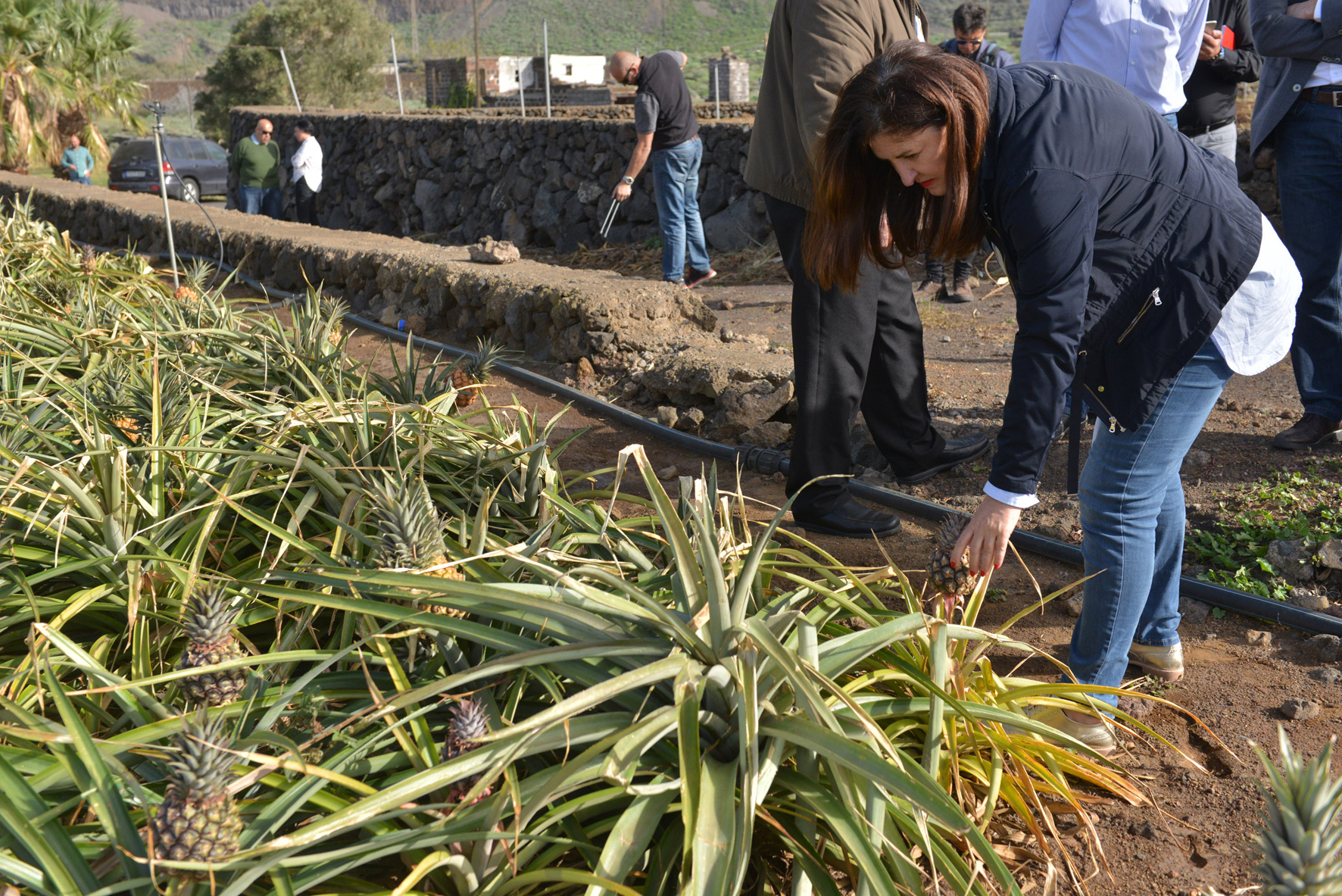 Danos agricultura 2