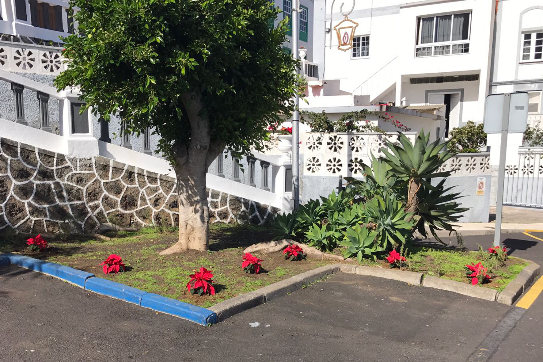 Valverde adorna sus calles con 600 flores de pascua