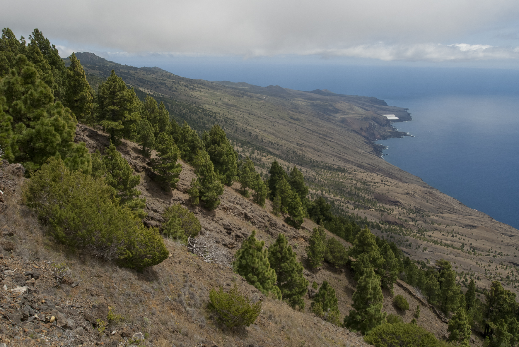 Un proyecto para contribuir a la declaración del primer parque nacional marino español en El Hierro