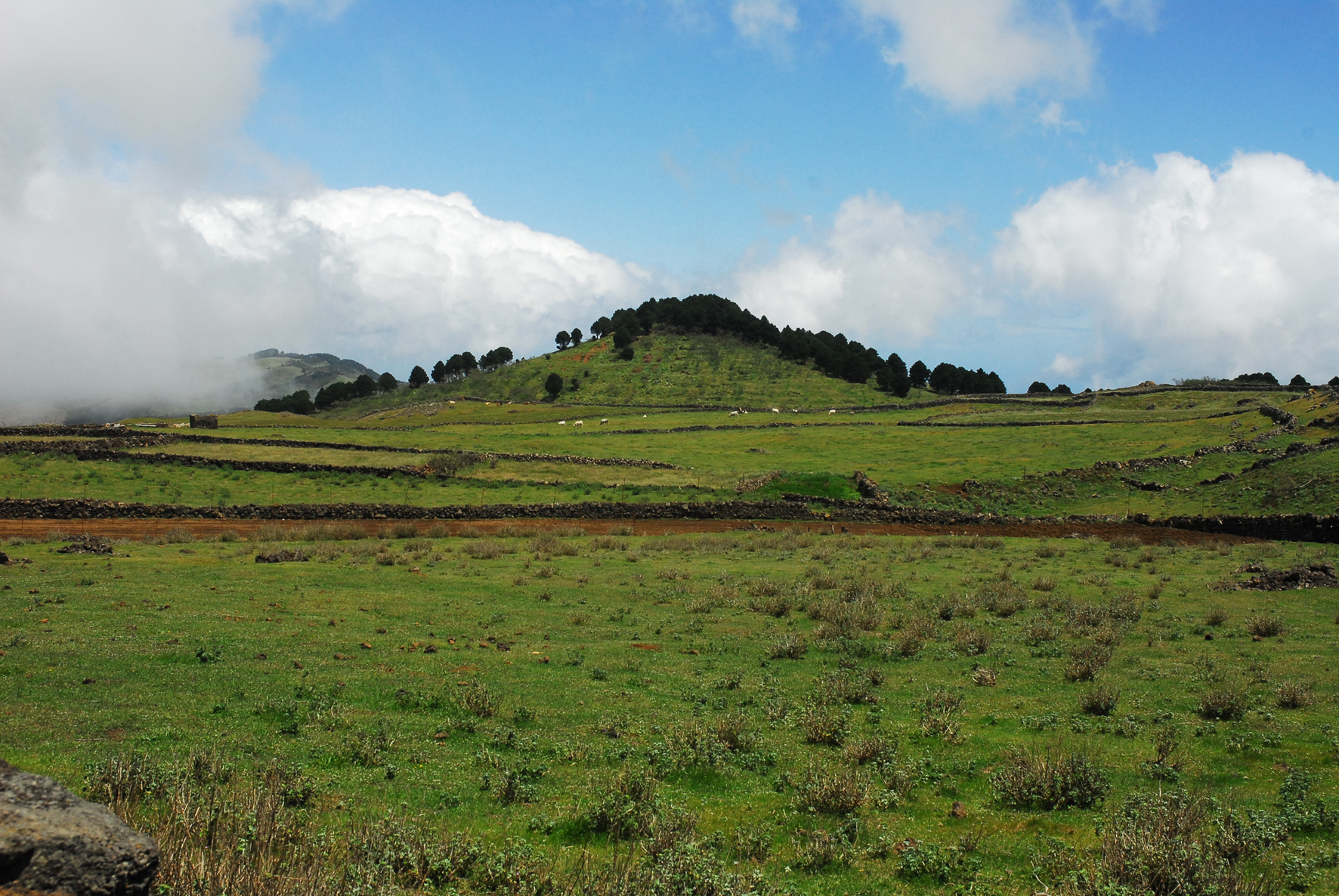 OSSINISA alerta que el Cabildo de El Hierro apuesta por un turismo de garrafón