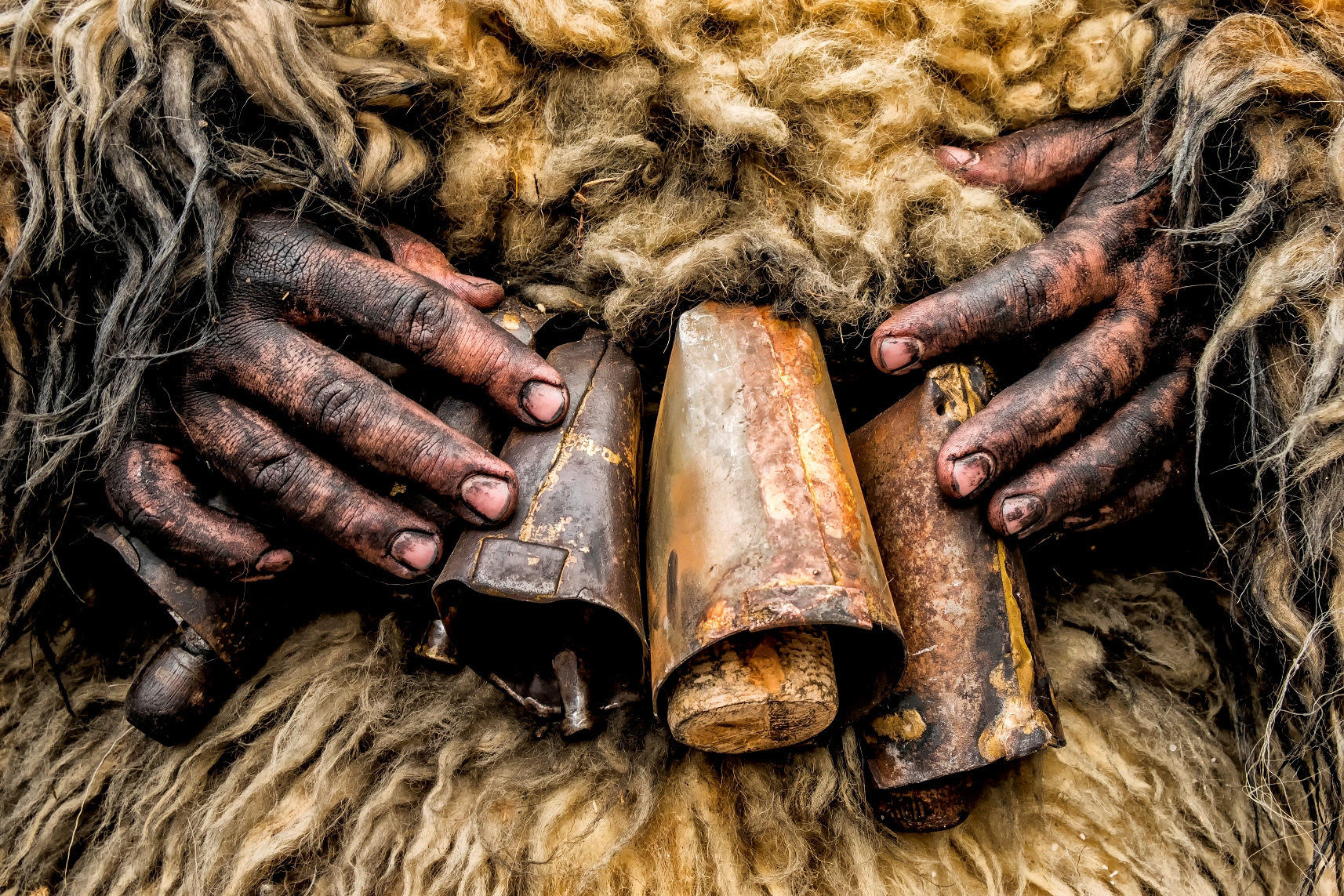 Cindia Tejera, Ruymán Quintero y María del Carmen Morales ganadores del Concurso de Fotografía Los Carneros de Tigaday