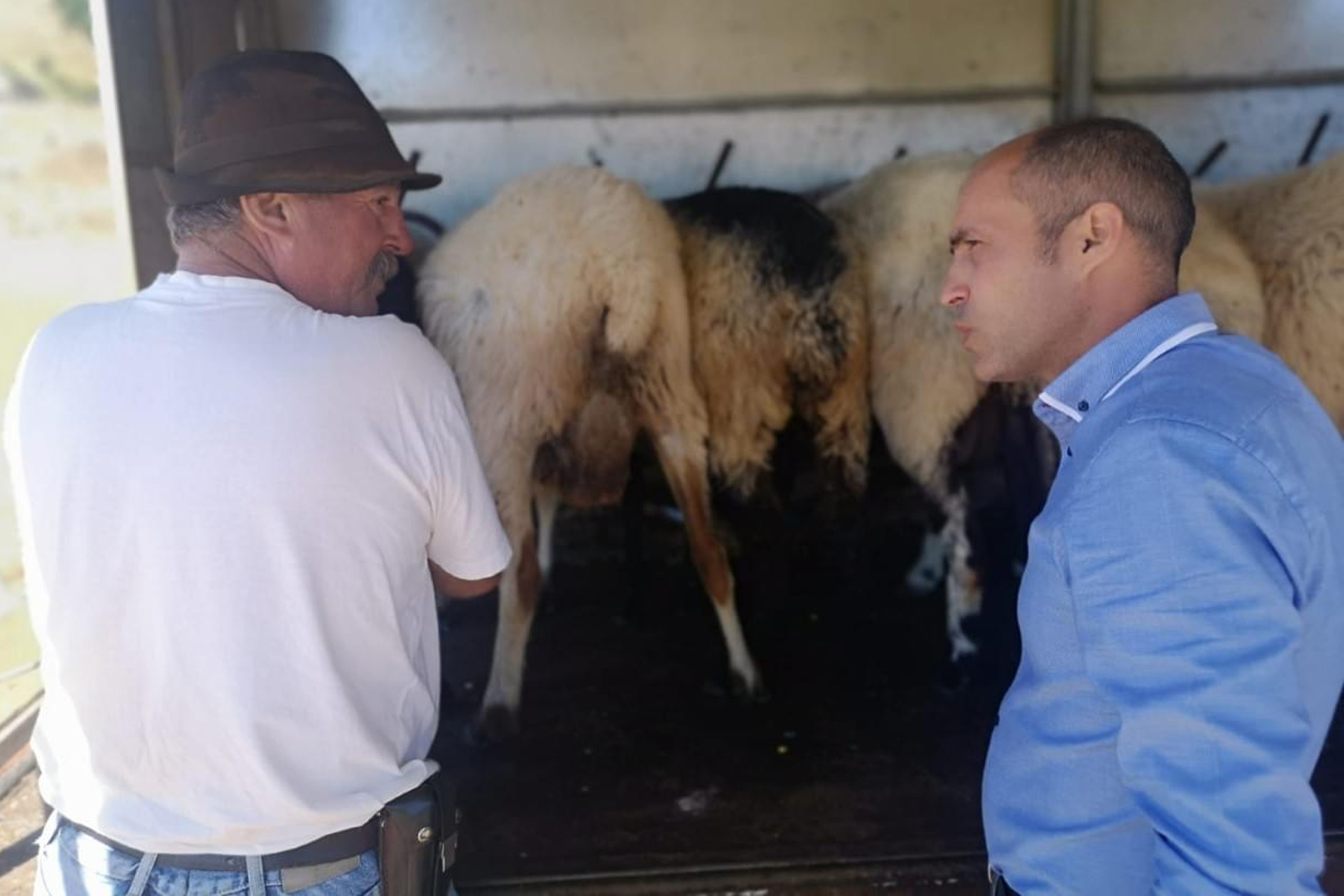 El Cabildo apuesta por la mejora de la calidad de las producciones ganaderas en la isla