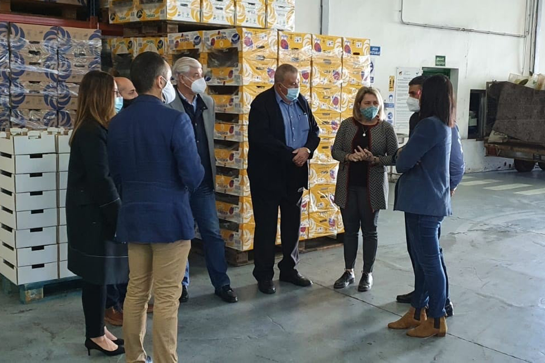 El Gobierno canario compensa las pérdidas de los productores de piña tropical en El Hierro con una ayuda directa de 750.000 euros