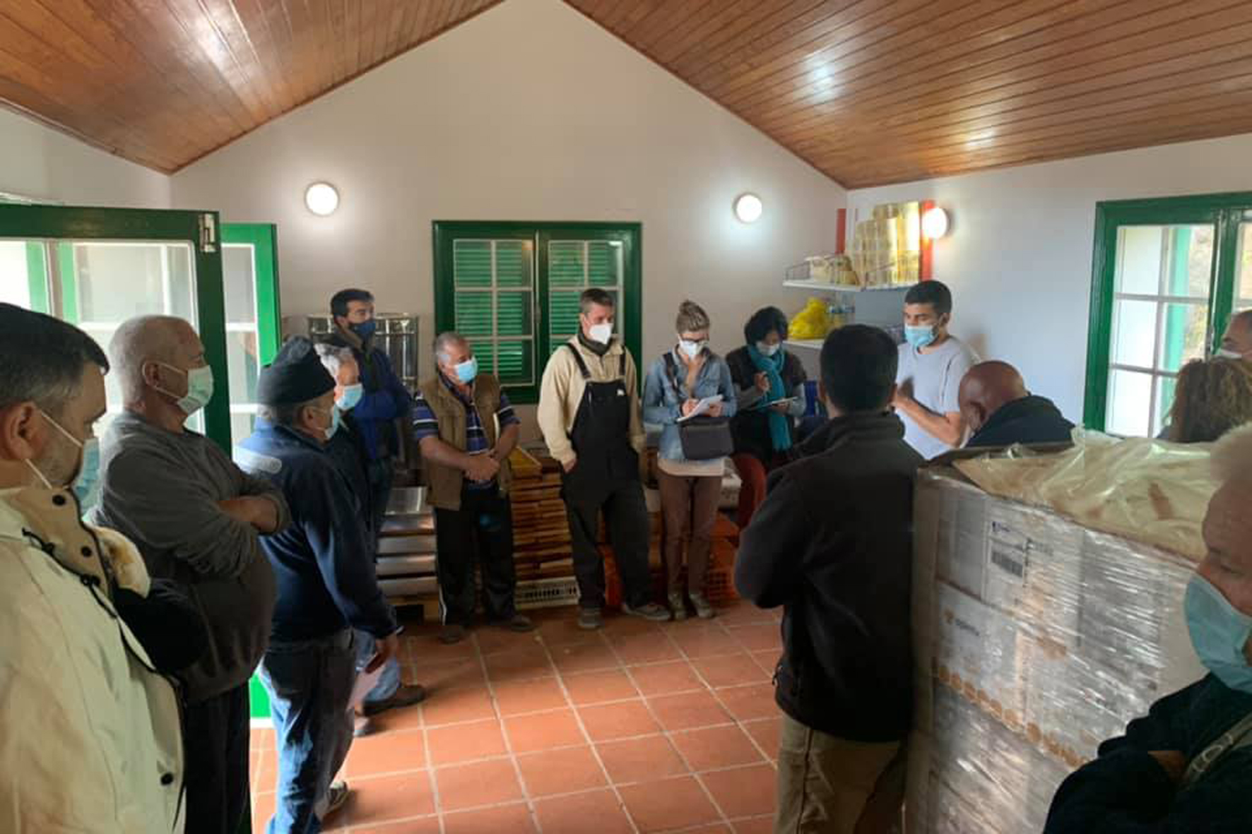 El Cabildo desarrolla un programa de mejora genética de abejas en El Hierro