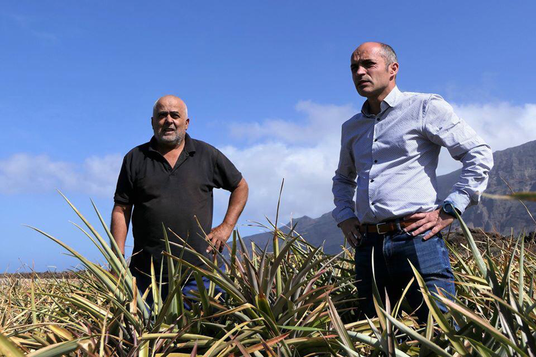 El Cabildo de El Hierro cede 14 parcelas para el incentivo de jóvenes agricultores