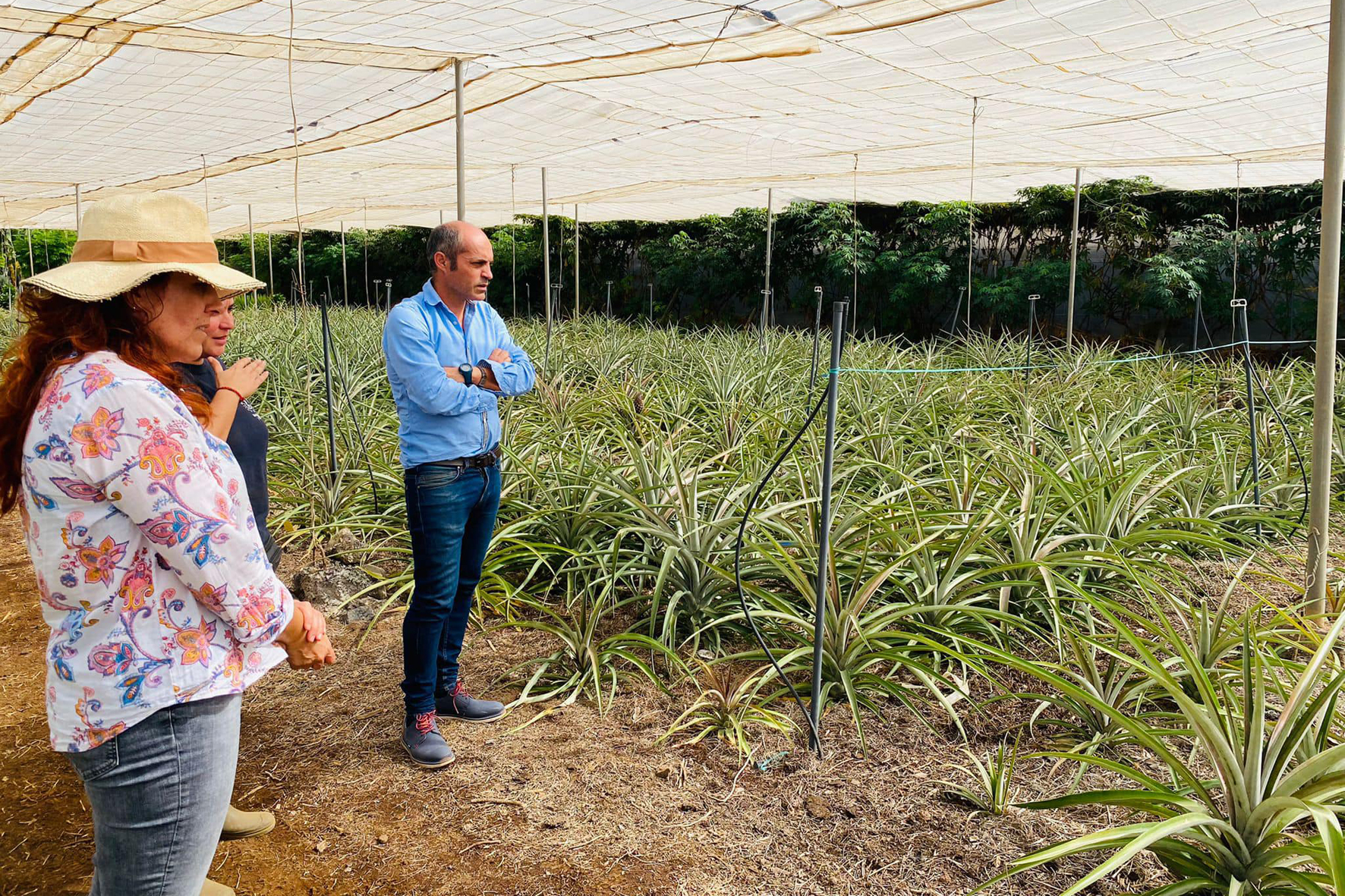 El Cabildo licita el proyecto de “Ampliación de estación desaladora de agua marina El Golfo” en La Frontera
