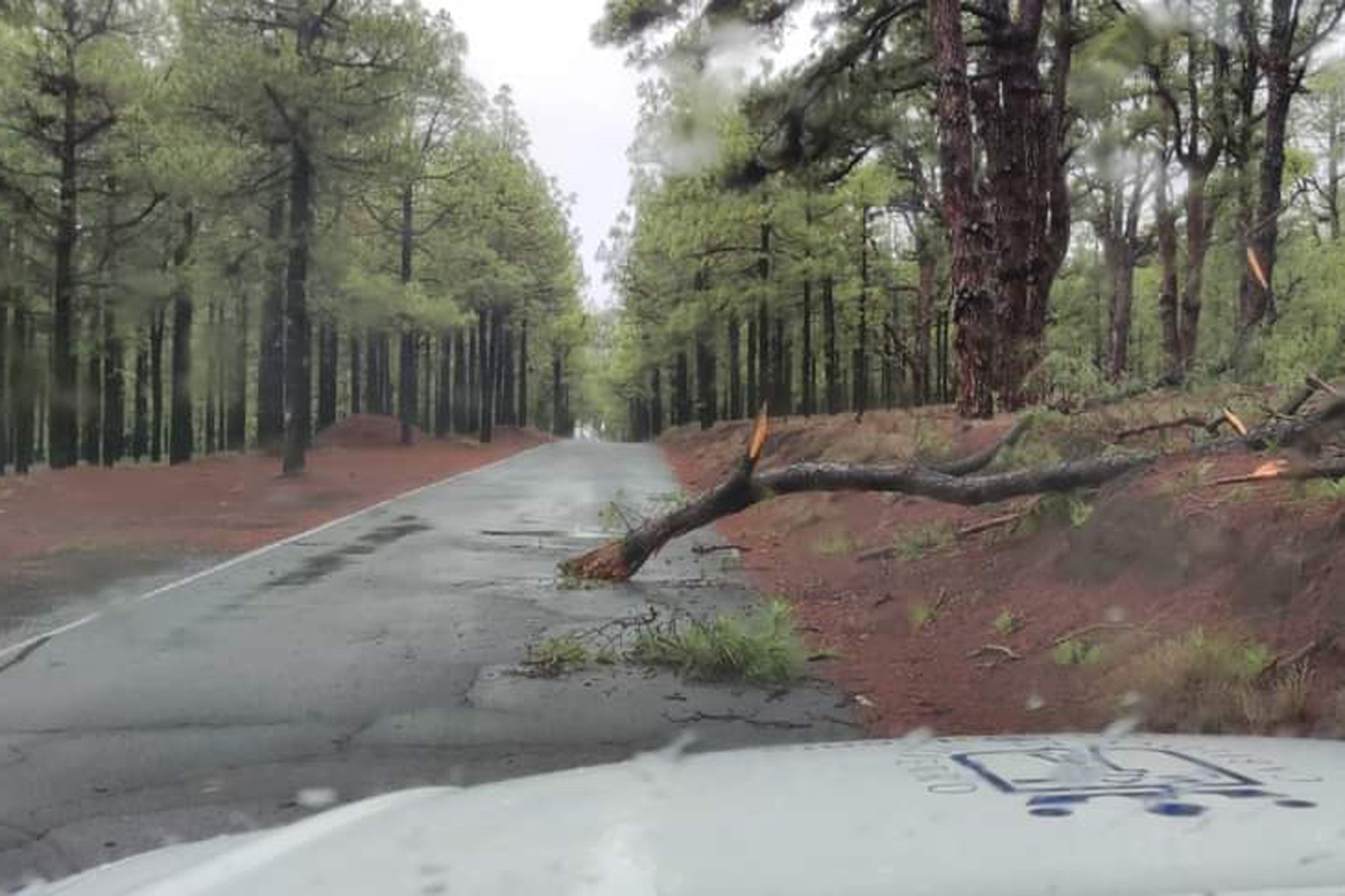 El Cabildo continua reabriendo al trafico carreteras y pistas forestales tras las lluvias del pasado fin de semana