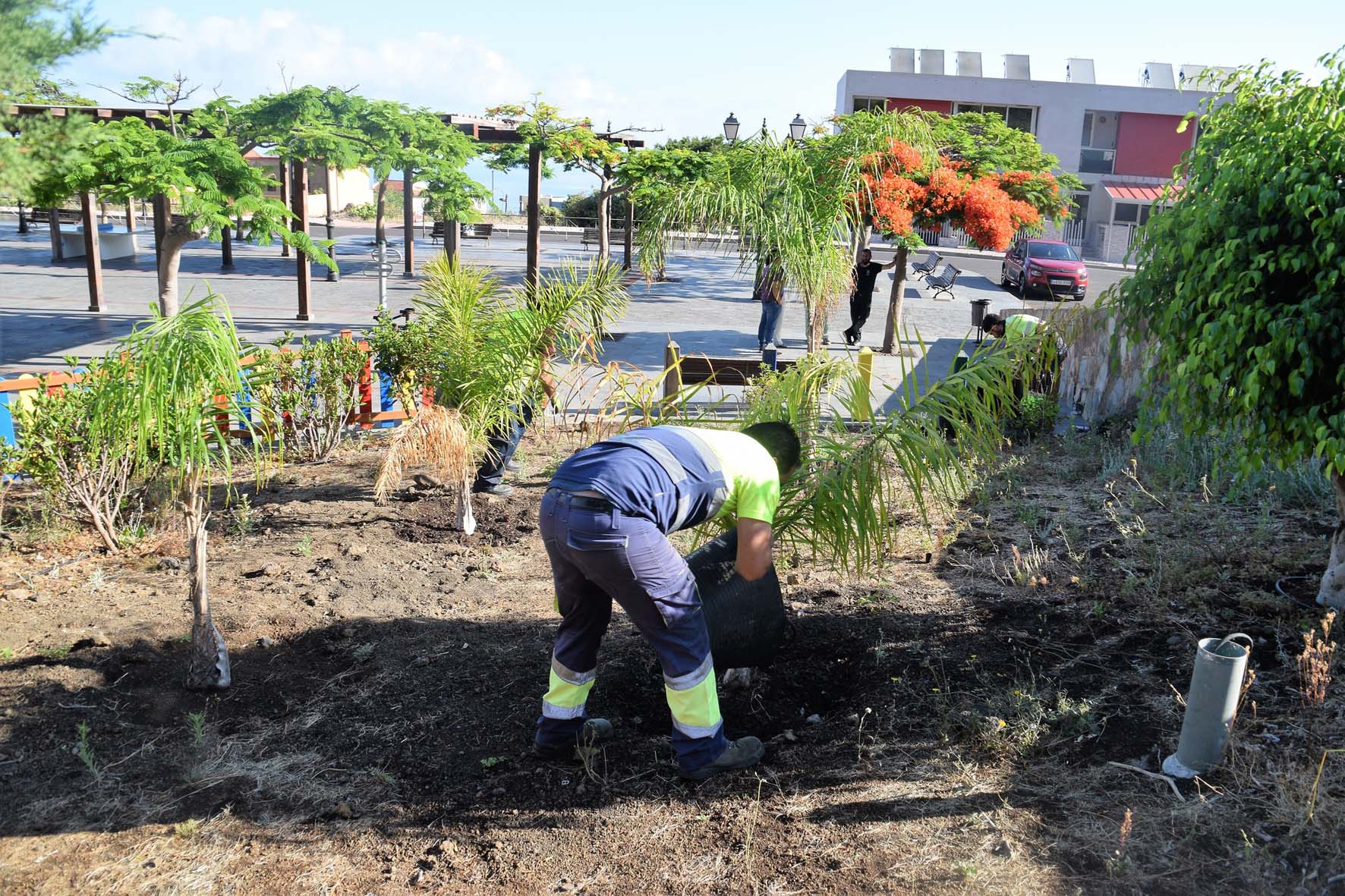 Los residuos generados en la Maratón del Meridiano vuelven a La Frontera en forma de compost