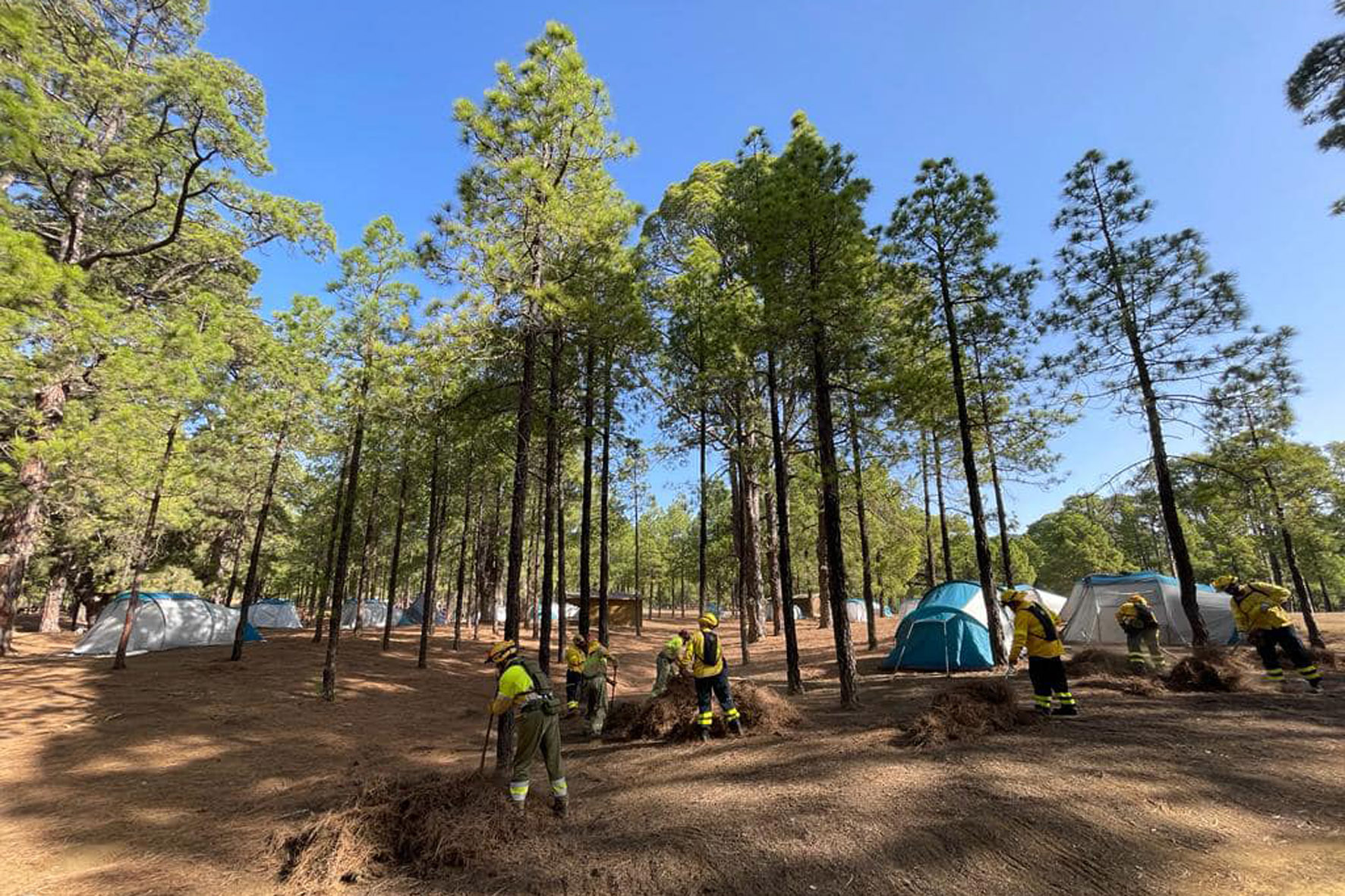 Medio Ambiente realiza labores de limpieza de vías, zonas recreativas y zona de acampada en el monte público