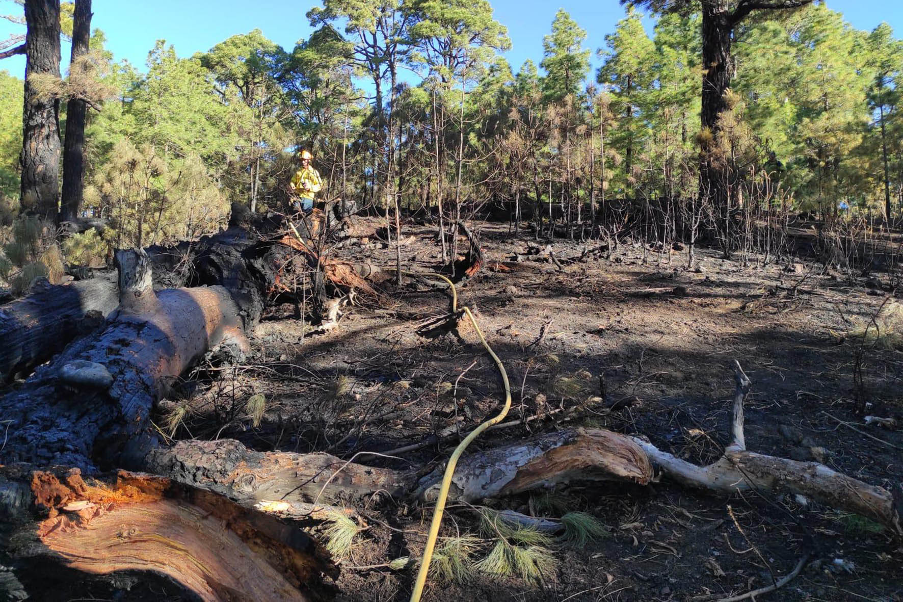 Los servicios de emergencia sofocan un conato de incendio en El Morcillo