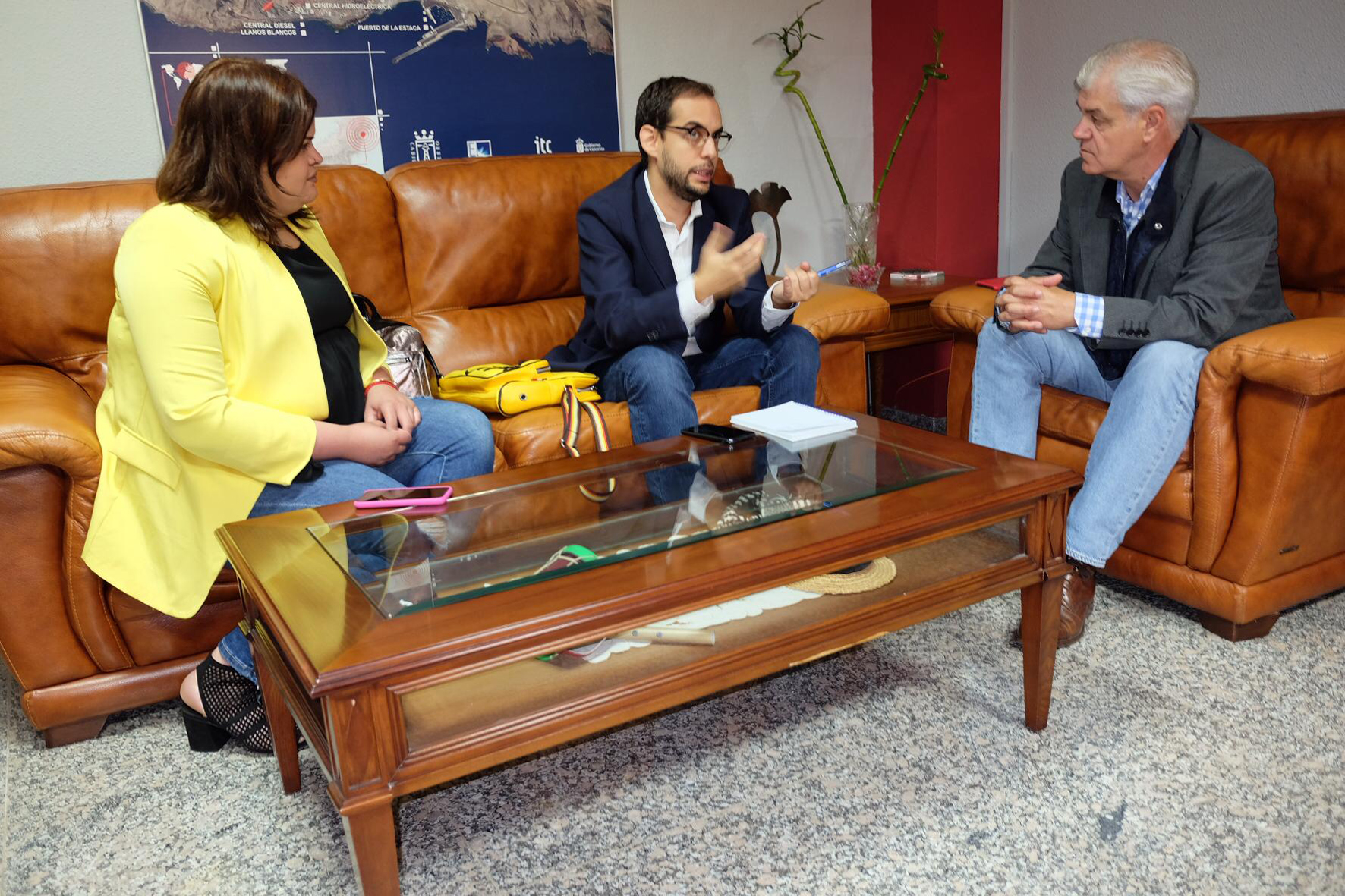 Cabildo y la Dirección General de Dependencia y Discapacidad, establecerán medidas conjuntas de accesibilidad a recintos públicos