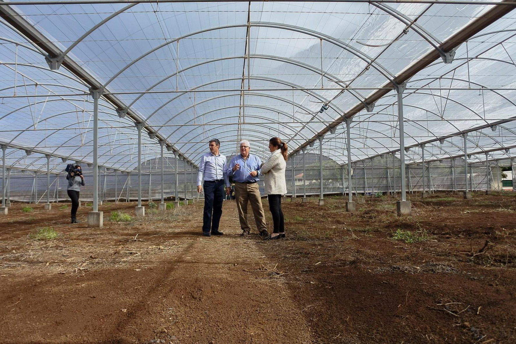 Comienzan las obras del Centro de Regeneración de la piña tropical, el Cabildo de El Hierro ha dado comienzo a la obras del Centro de Regeneración de la Piña Tropical
