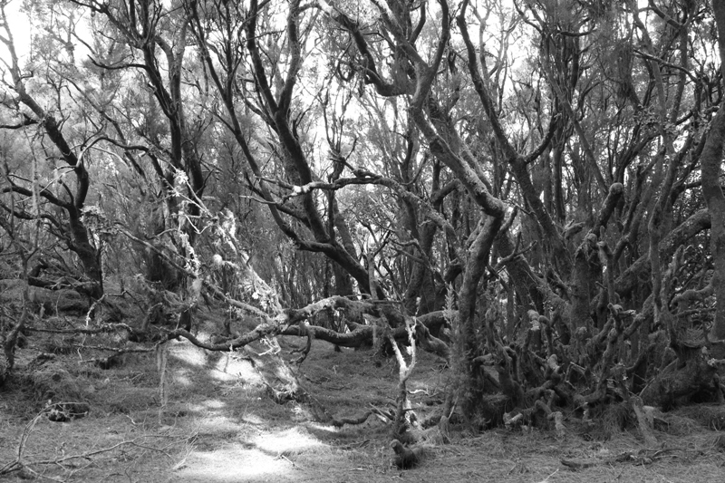 Mi Isla Fototrek ya tiene ganadores