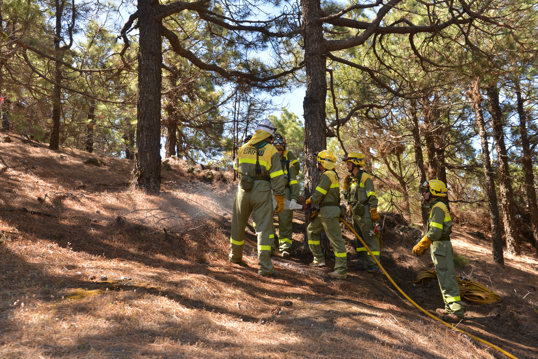 Nieves Lady Barreto visita al Equipo de Intervención y Refuerzo Forestal de El Hierro