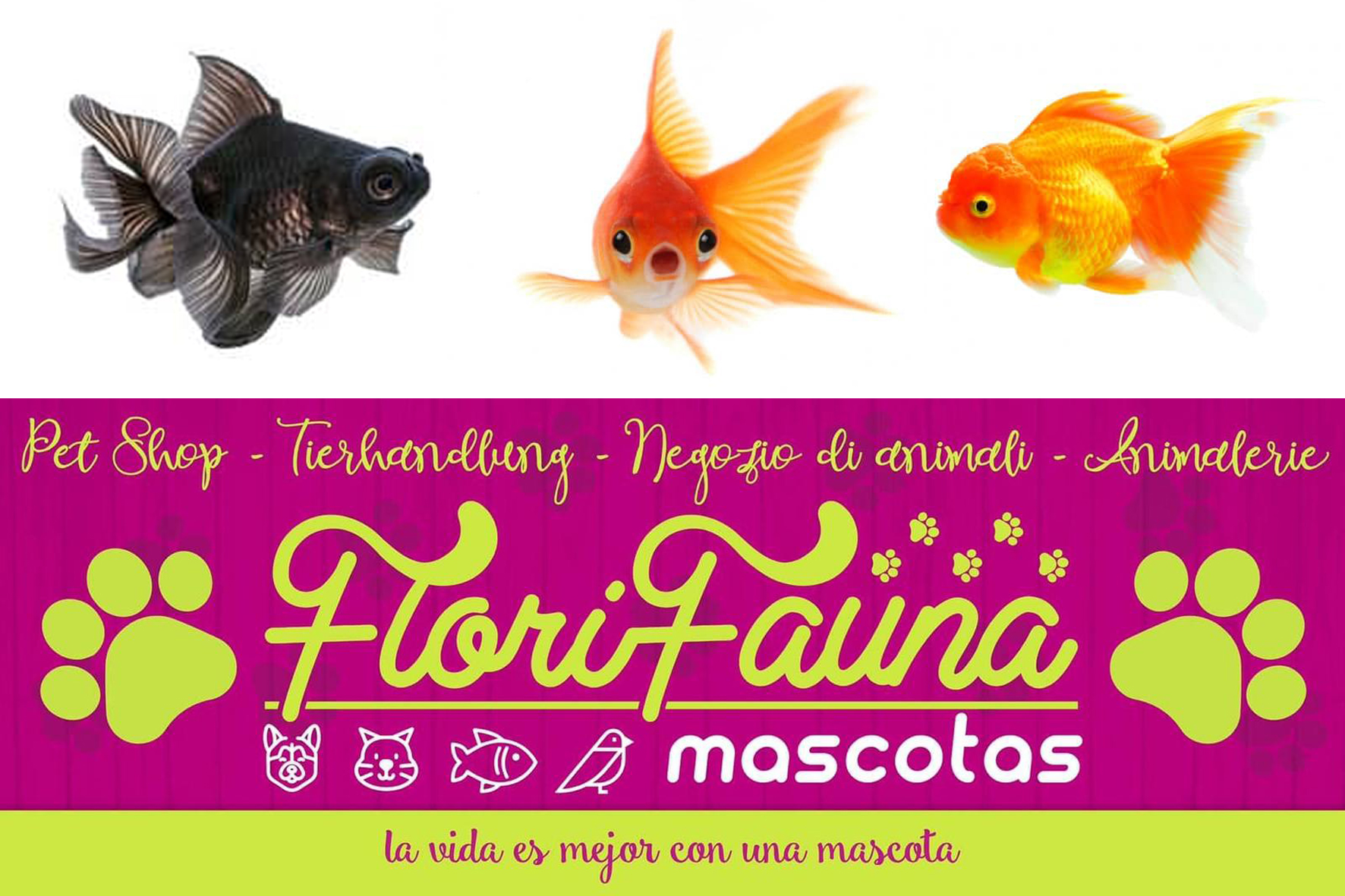 Florifauna Mascotas reabre sus puertas