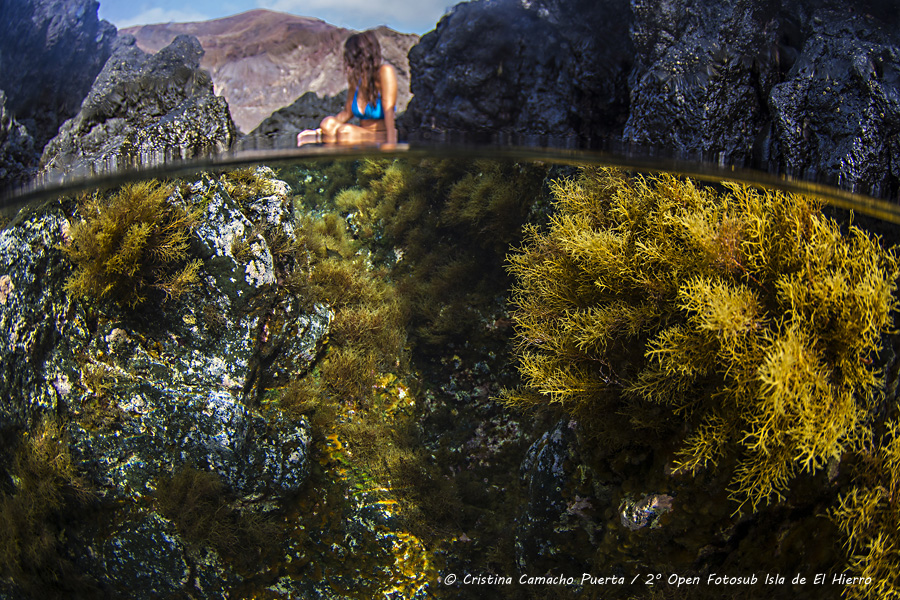 Cristina Camacho Puerta premio a la mejor fotografía del mes de septiembre en el Fotosub Online