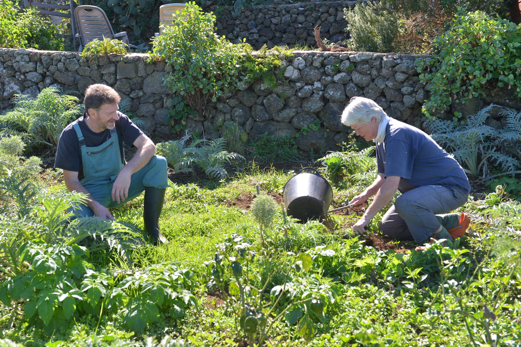 Fundación Global Nature y Ecoembes firman un convenio para acercar la biodiversidad a las escuelas de El Hierro
