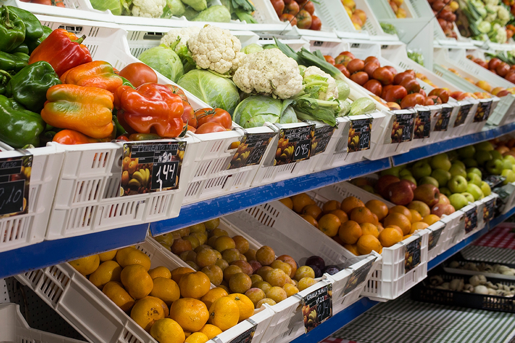 IpH-IUC propone la creación de un centro de acopio de productos ecológicos