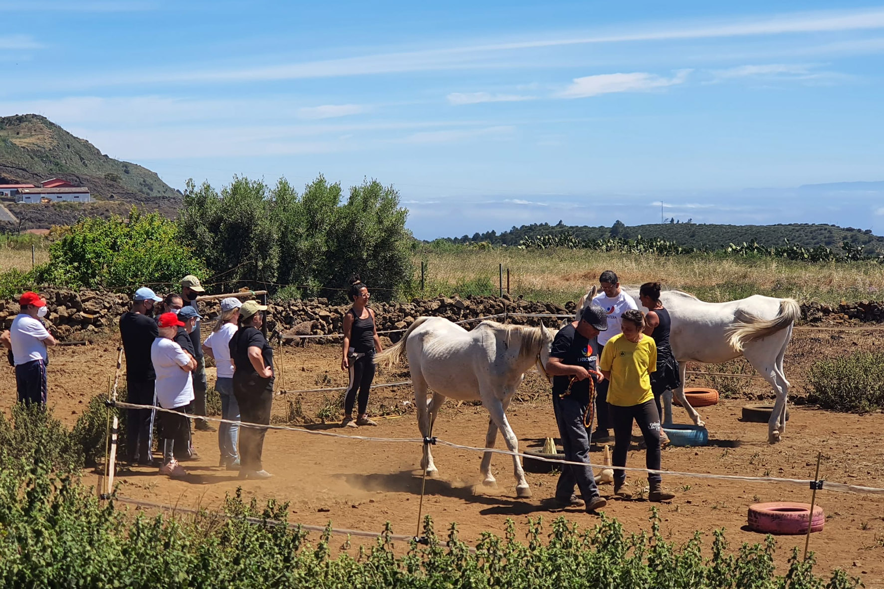Terapia Asistida con caballos para personas con diversidad funcional